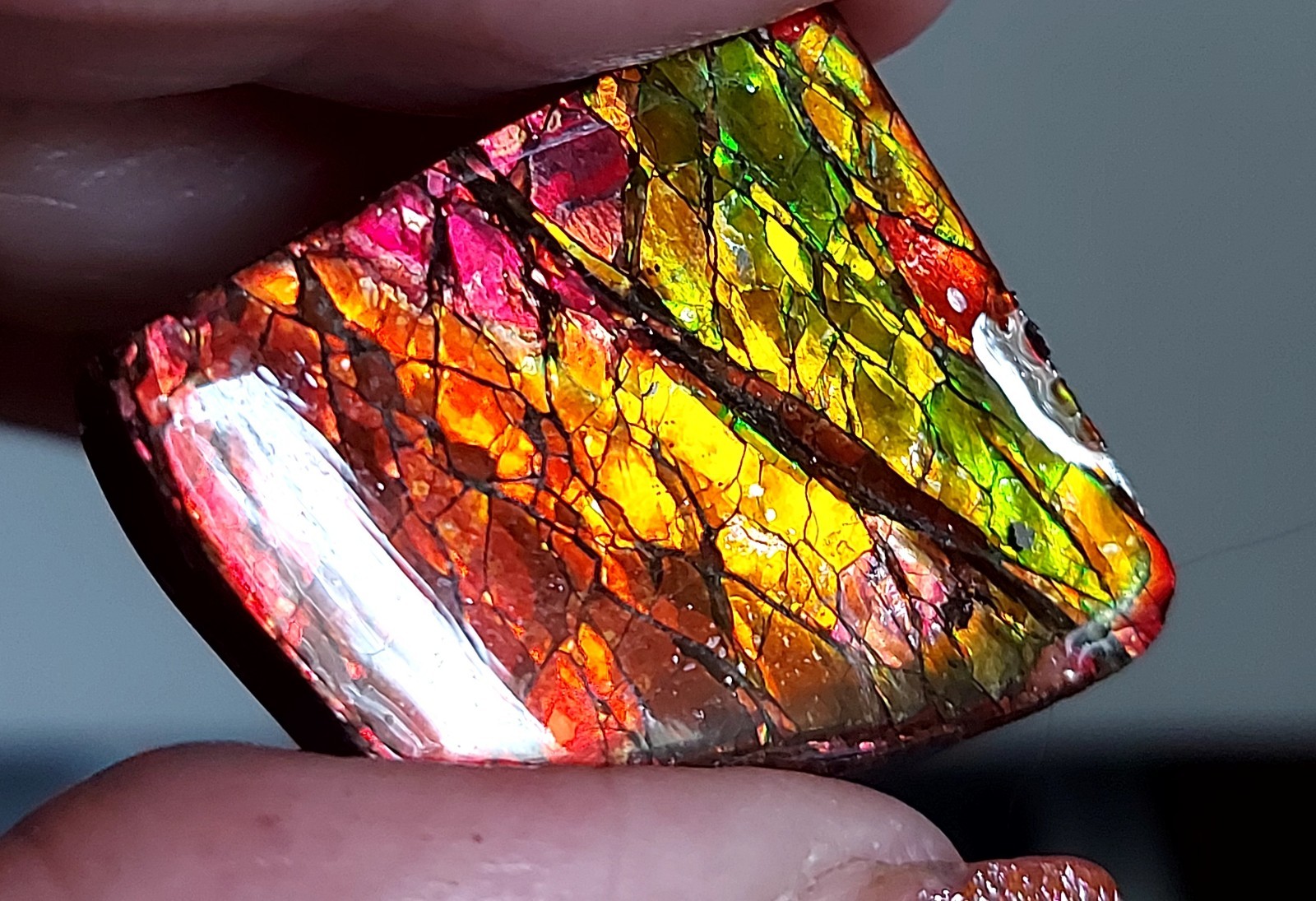 Ammolite Ammonite Coated Stone Color Changer BEAUTY 27.5×23.2x5mm C5695