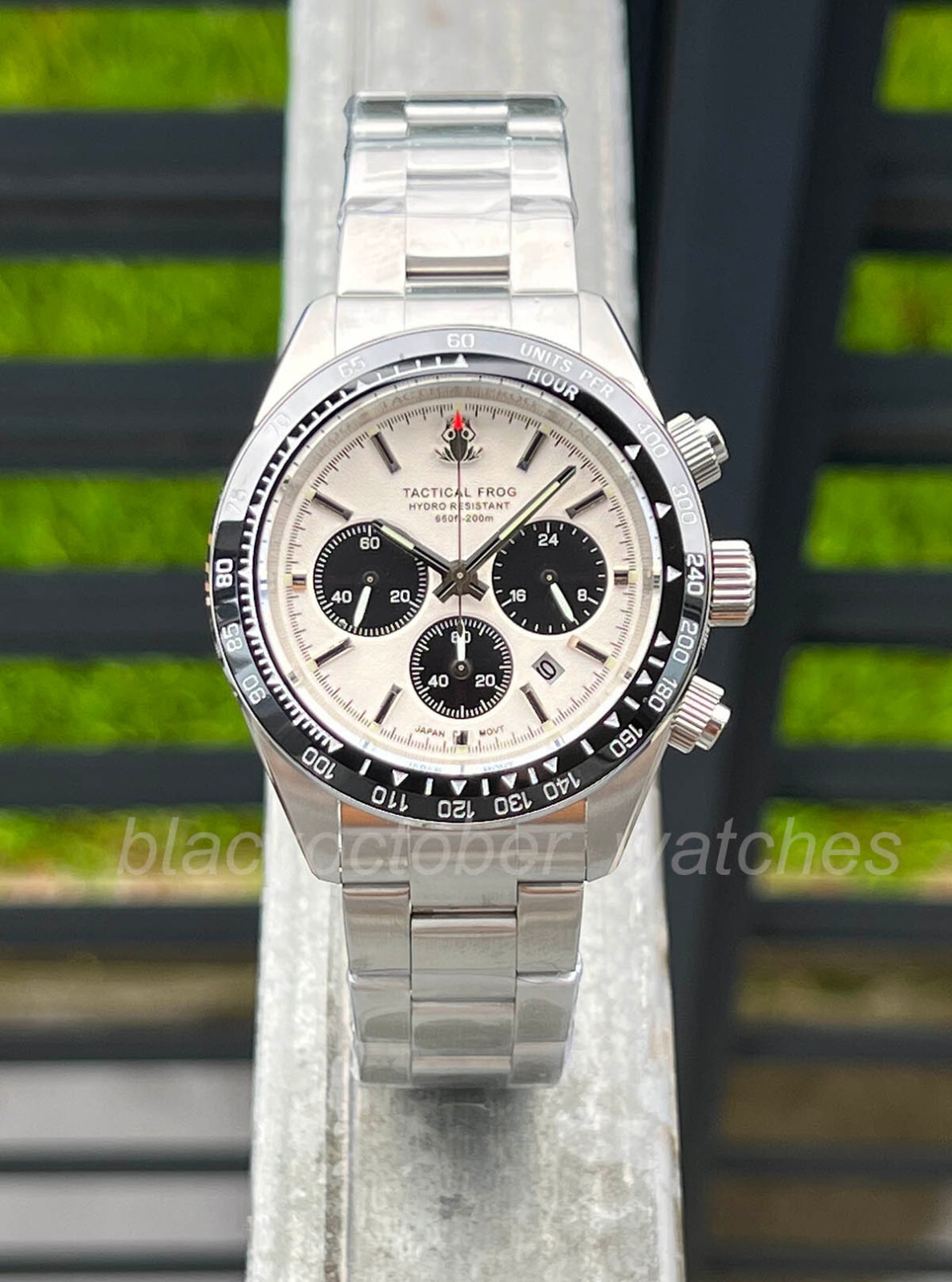 TACTICAL FROG VS75 Quartz Solar Chronograph Watch 41mm Paul Newman Panda 316L C3