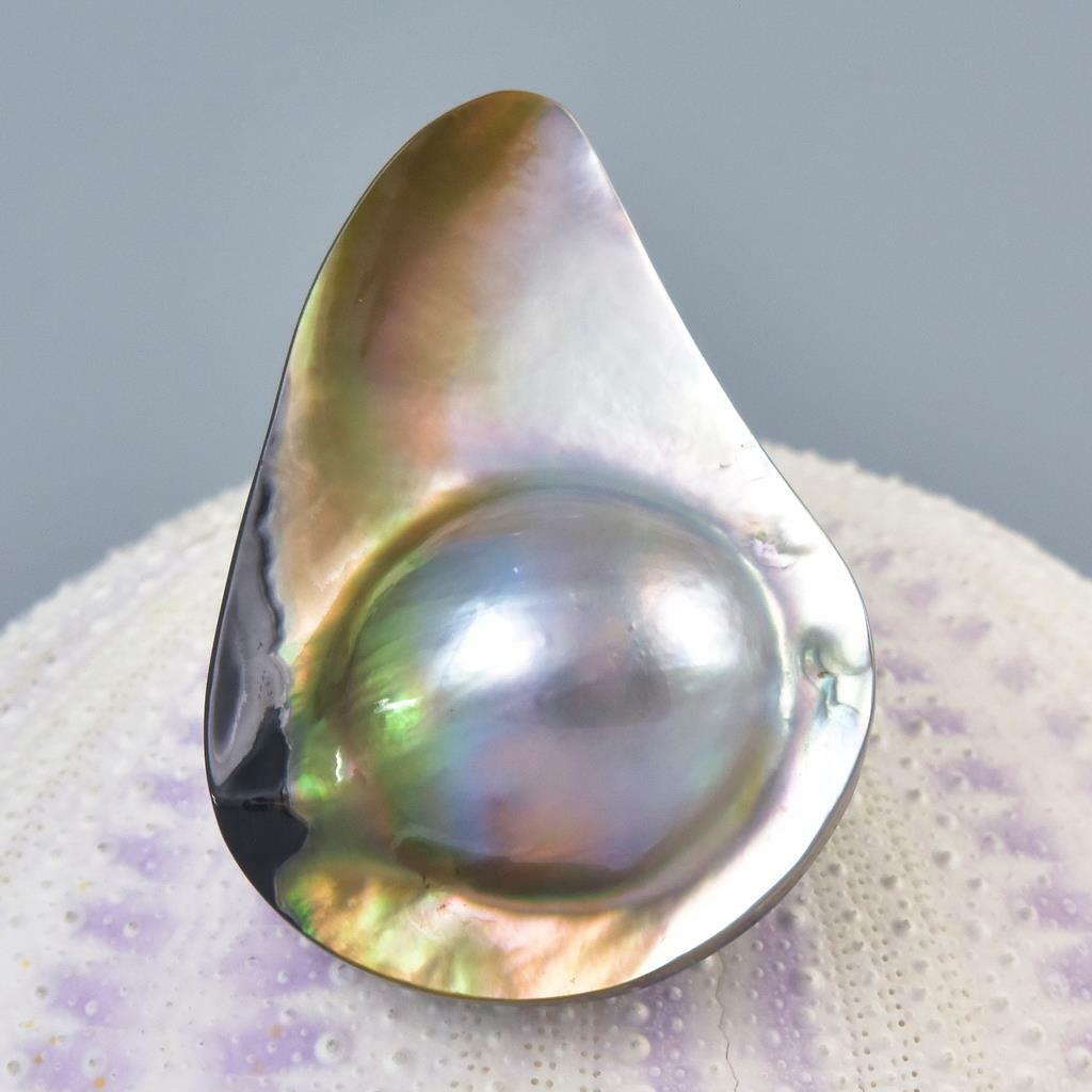 Mabe Blister Pearl in Shell Extreme Colorful Rainbow Iridescent 8.12g Cabochon