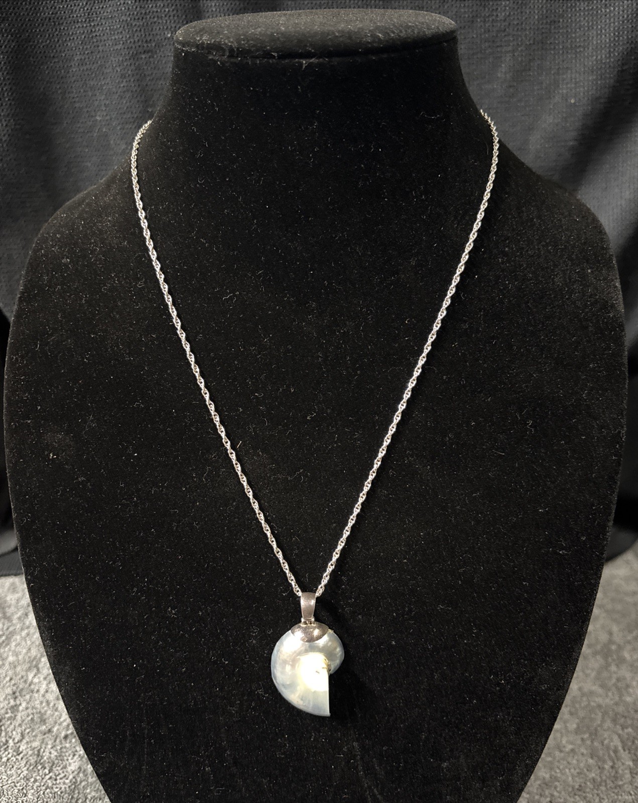 sterling silver necklace with Light Blue Nautilus Shell pendant
