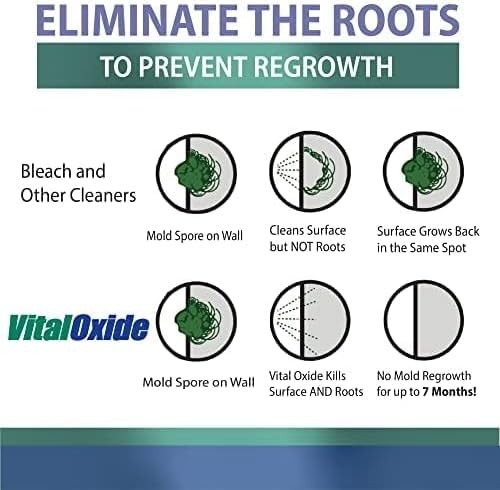 Vital Oxide Disinfectant, Deodorizer, Cleaner, 128 Fl Oz (Pack of 1)