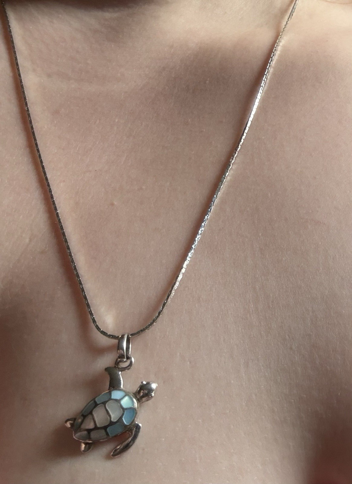 Sea Turtle Charm Pendant Necklace Silver Toned Stainless Chain Bronze Thailand