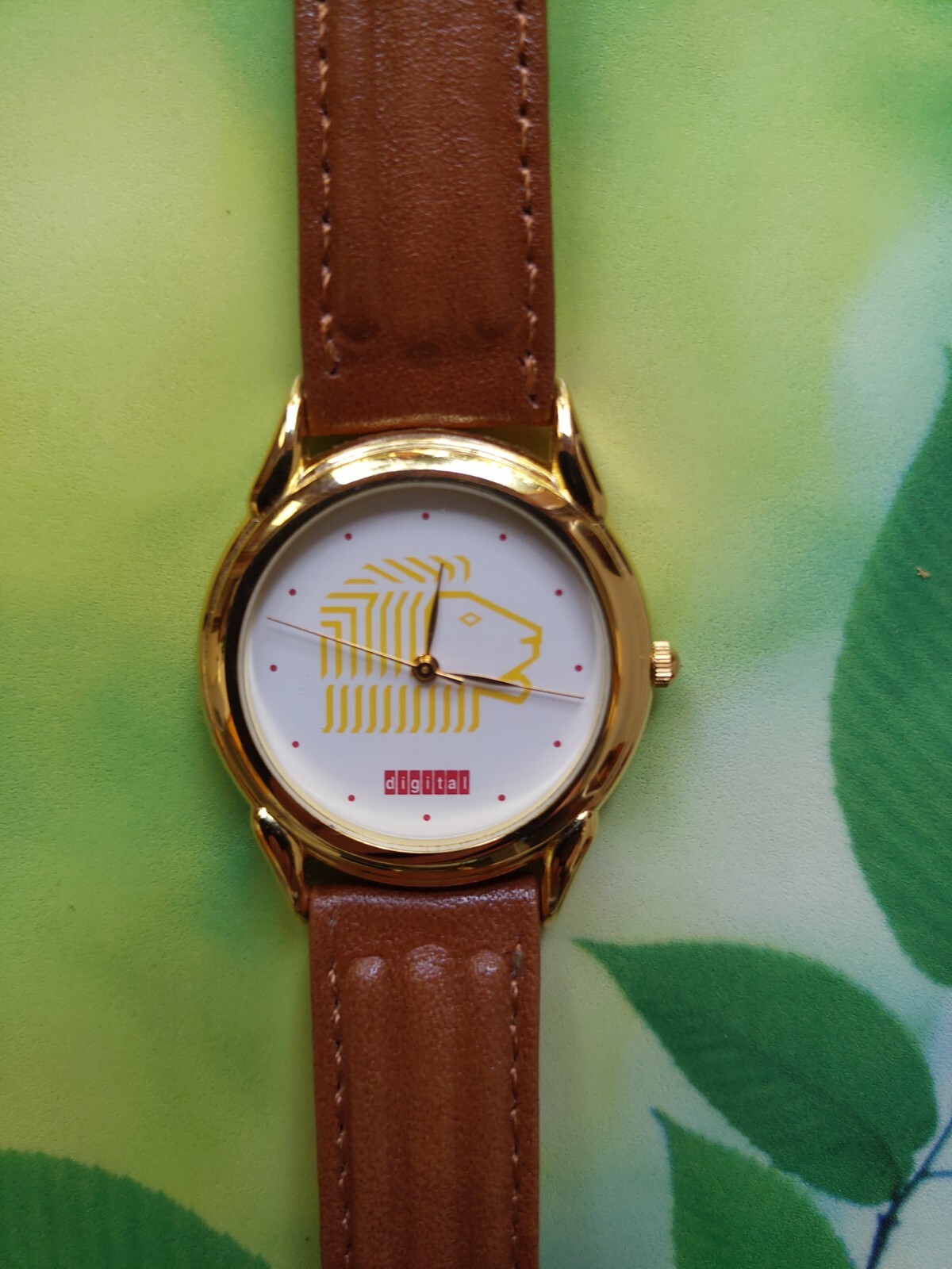 Unbranded Unisex Generic Quartz Watch