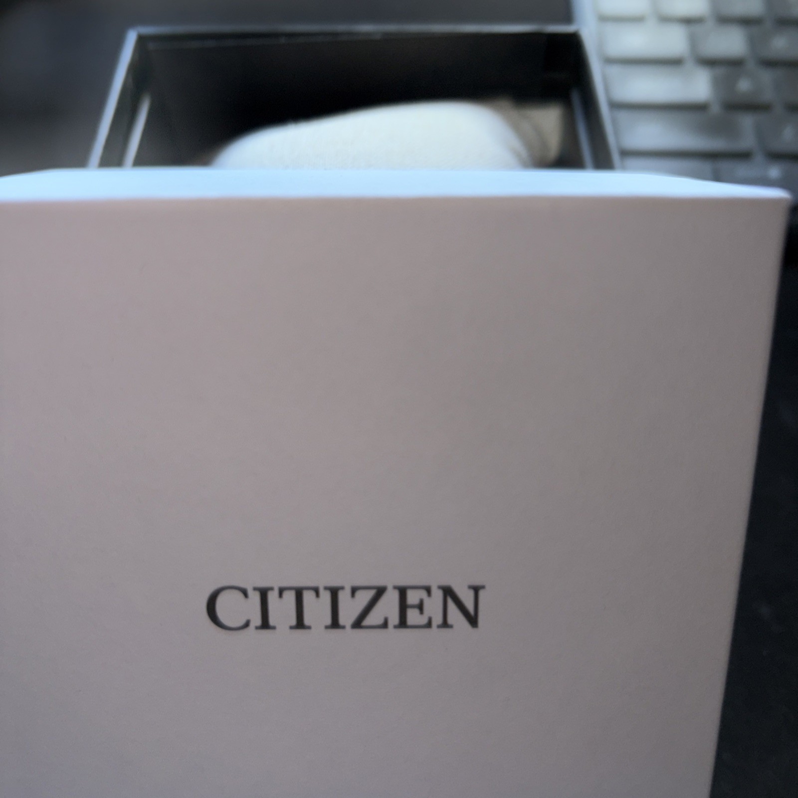 Citizen Promaster Land Series Eco-Drive Radio AT6080-53L Wristwatch Watch