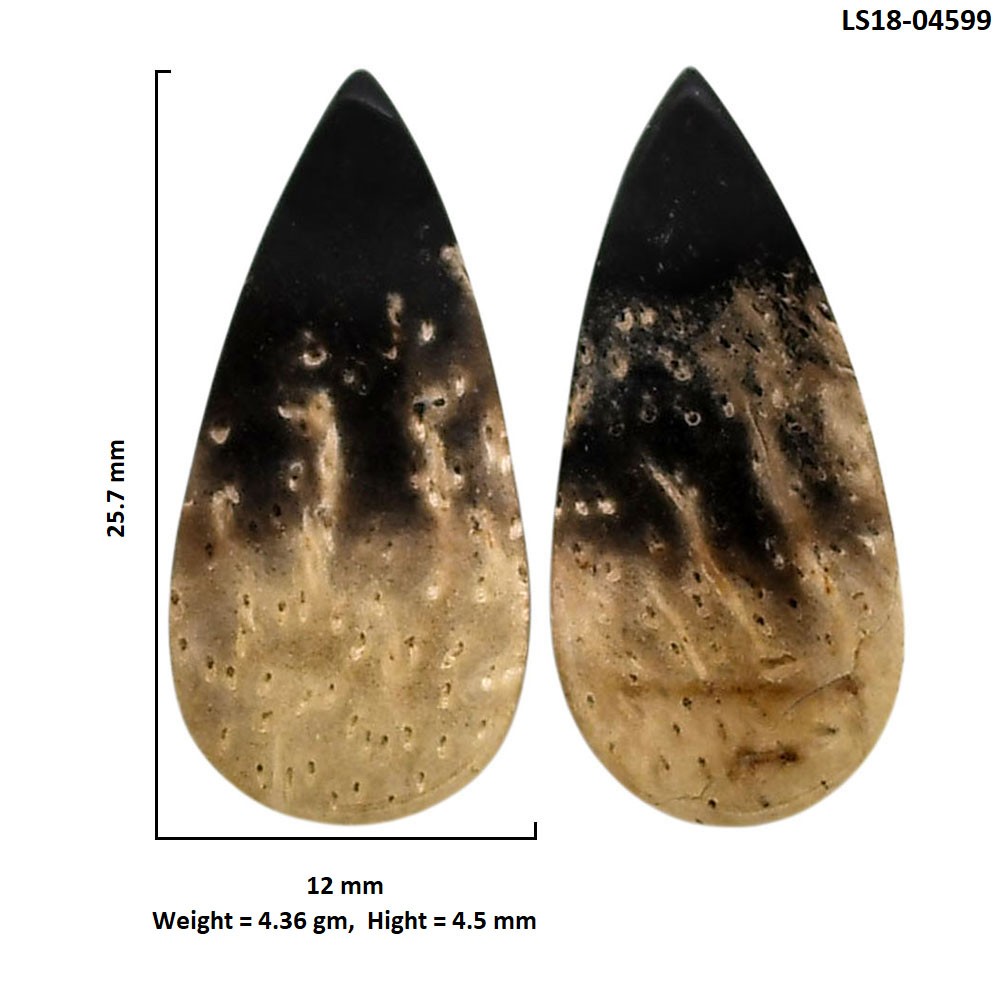 Natural Root Plume Agate Pair 12×25.7×4.5 mm Pear Polished Gemstone LS18-04599
