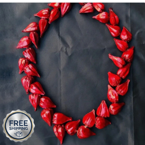 OTC ULA FALA Necklace UlaFala Traditional Roman Reigns Red Men Samoa Ula Fala