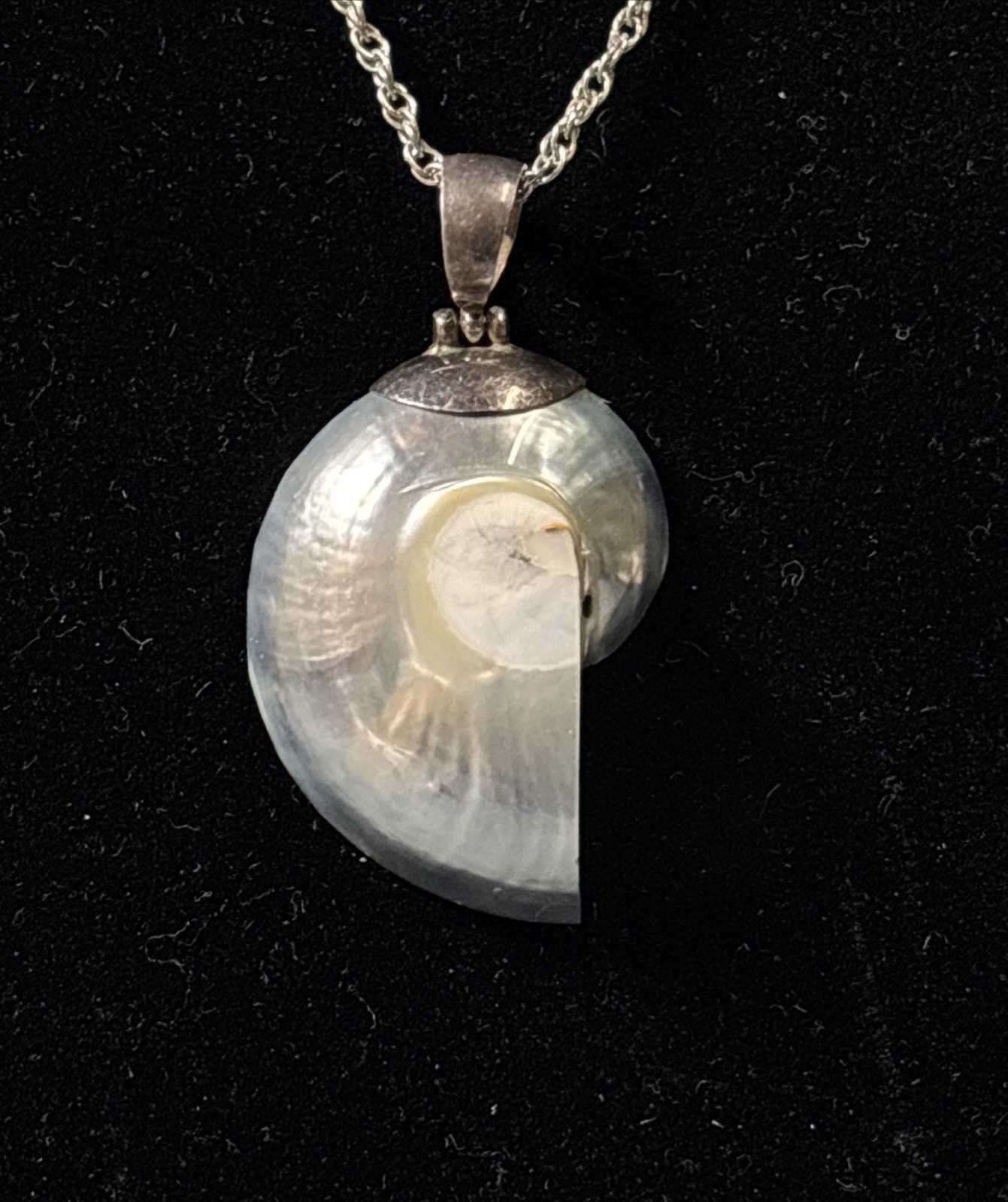 sterling silver necklace with Light Blue Nautilus Shell pendant