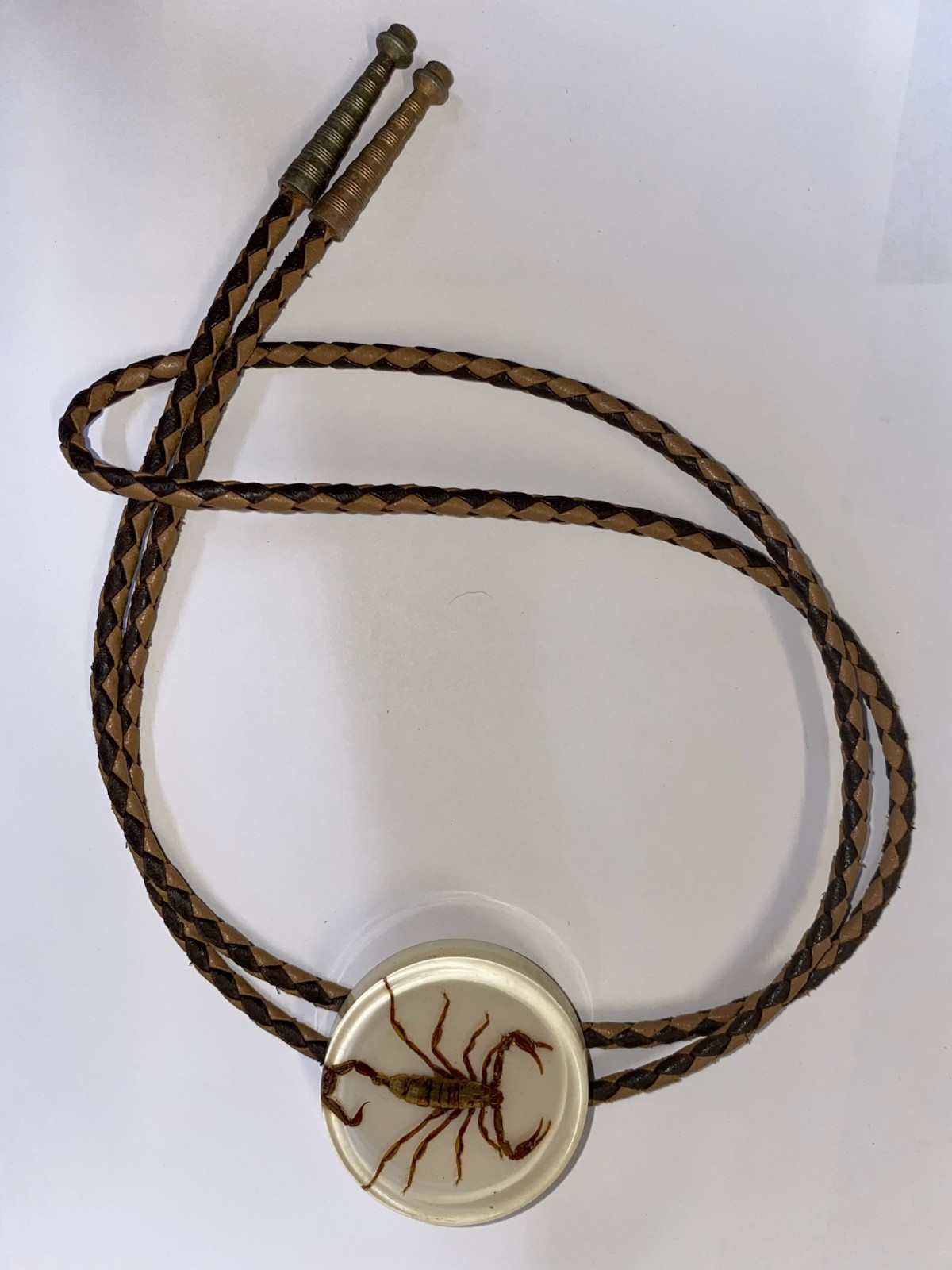 Scorpion Bolo Tie