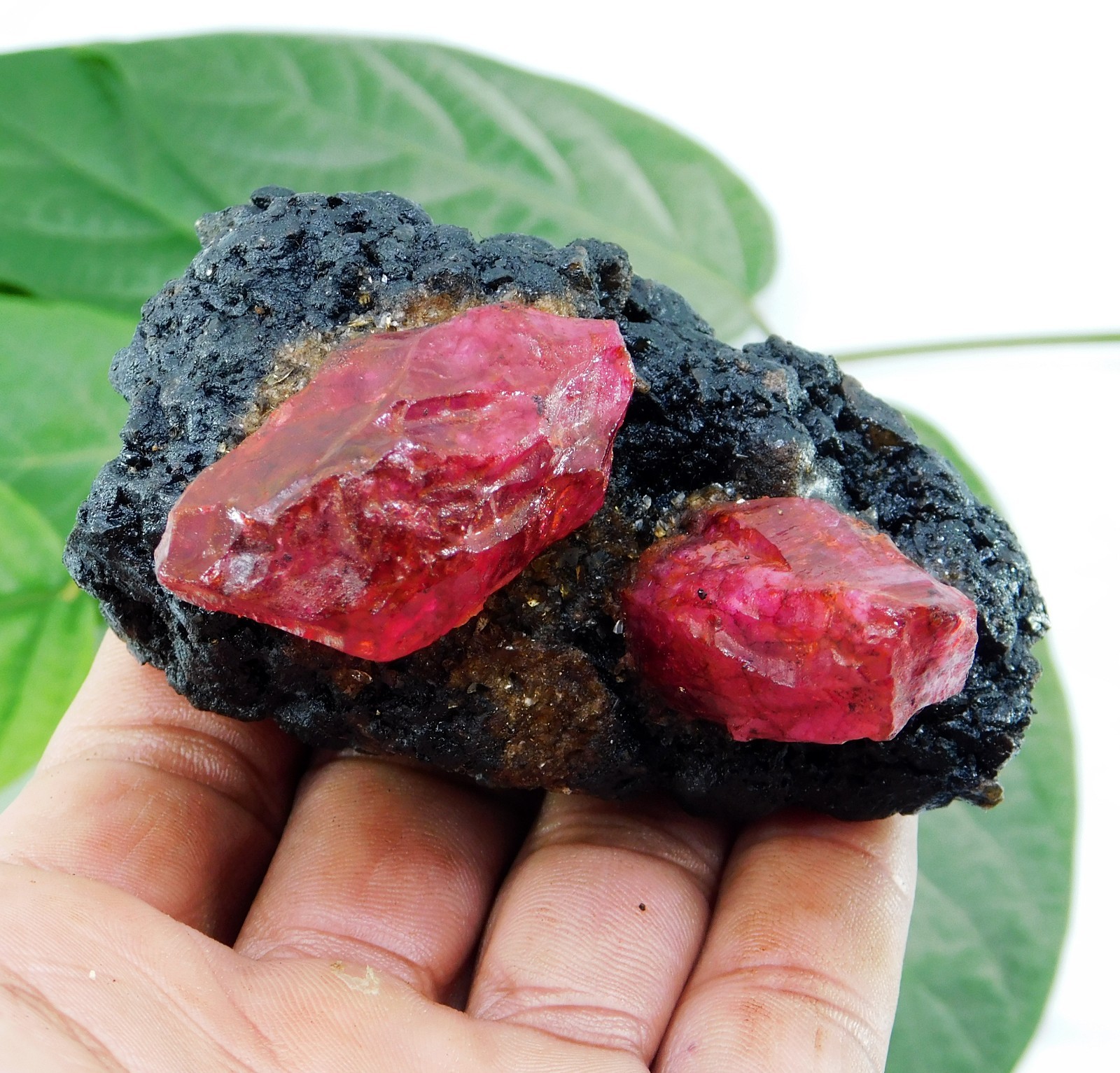 Certified 685 Ct Natural Ruby Matrix with Crystals Rough Specimen for Collectors