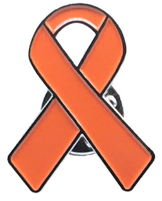 Multiple Sclerosis Awareness Bracelet & Enamel Pin – 2 High Quality Items
