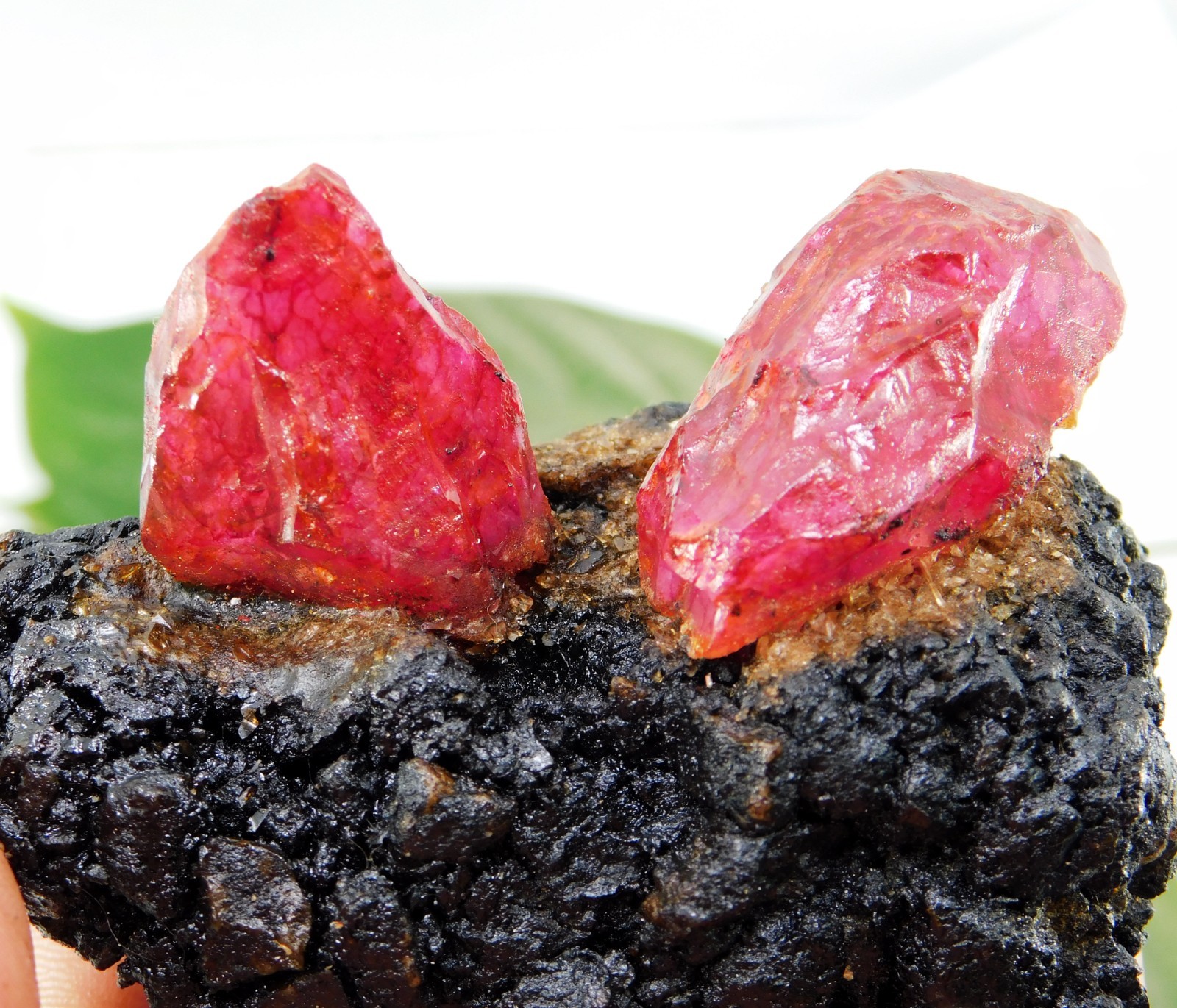 Certified 685 Ct Natural Ruby Matrix with Crystals Rough Specimen for Collectors