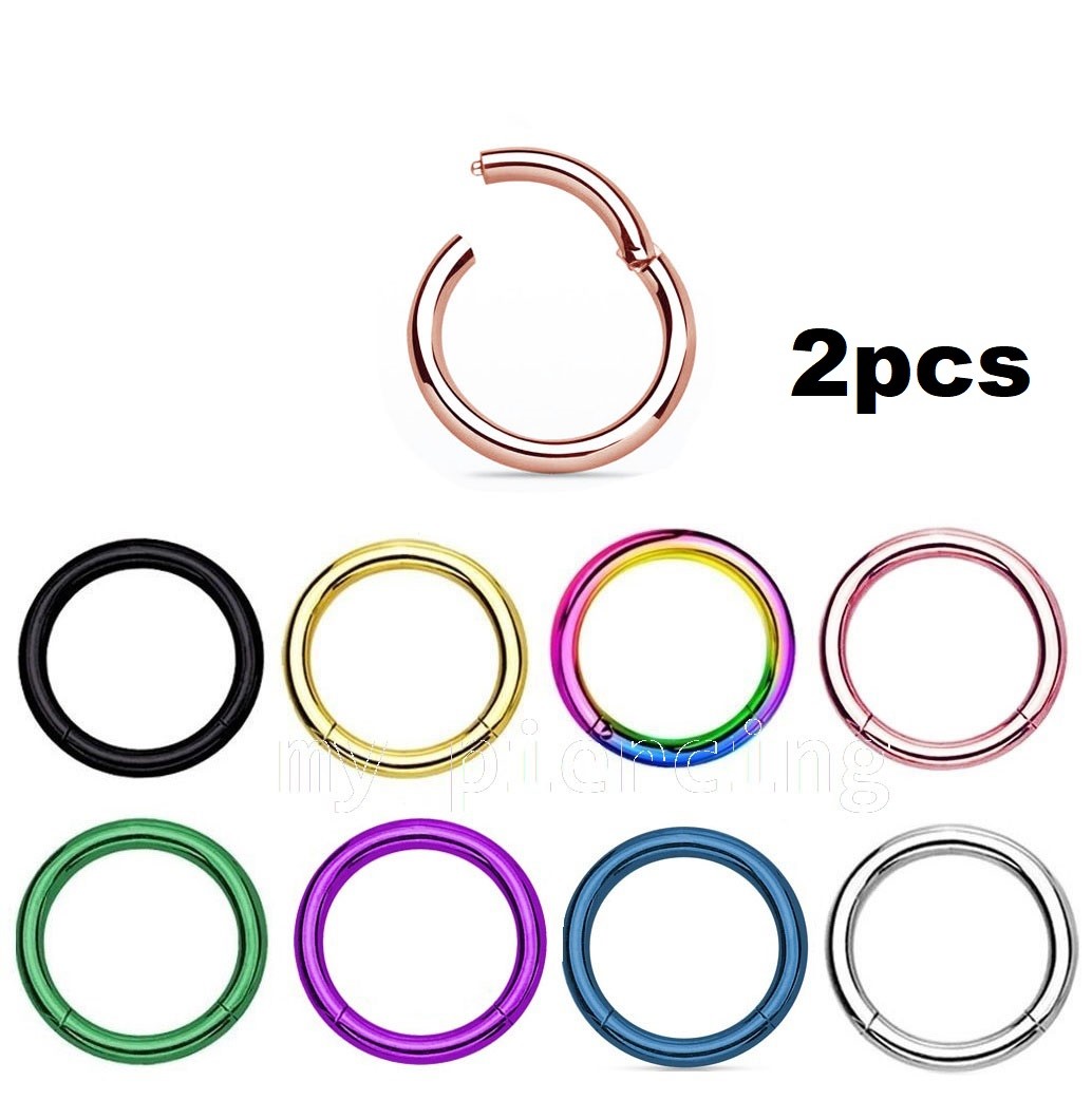 PAIR Hinged Seamless Segment Ring Hoop Earring Cartilage Labret Nose Ring Septum