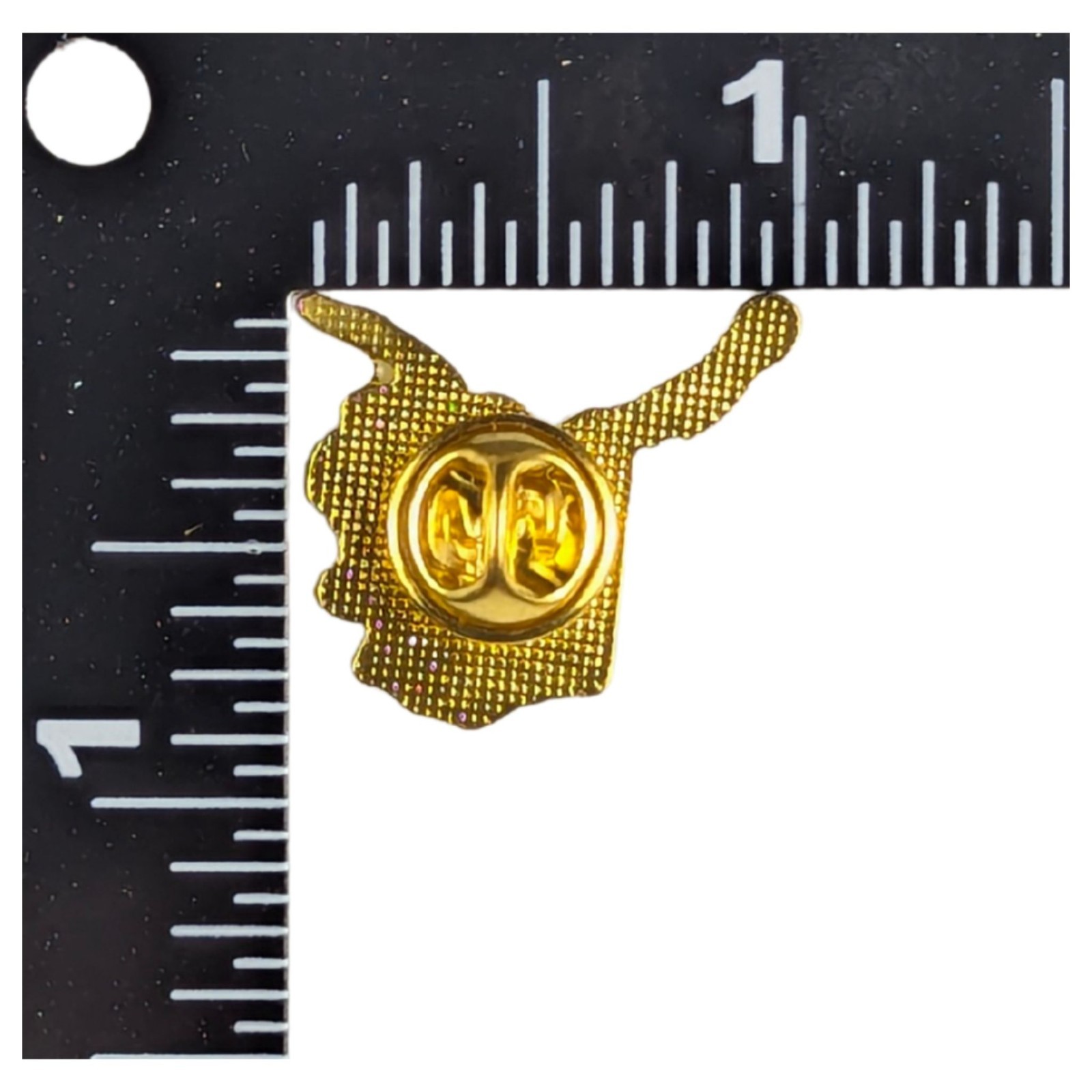 Alaska Artistic Map Lapel Pin; Die-Struck Steel Alloy