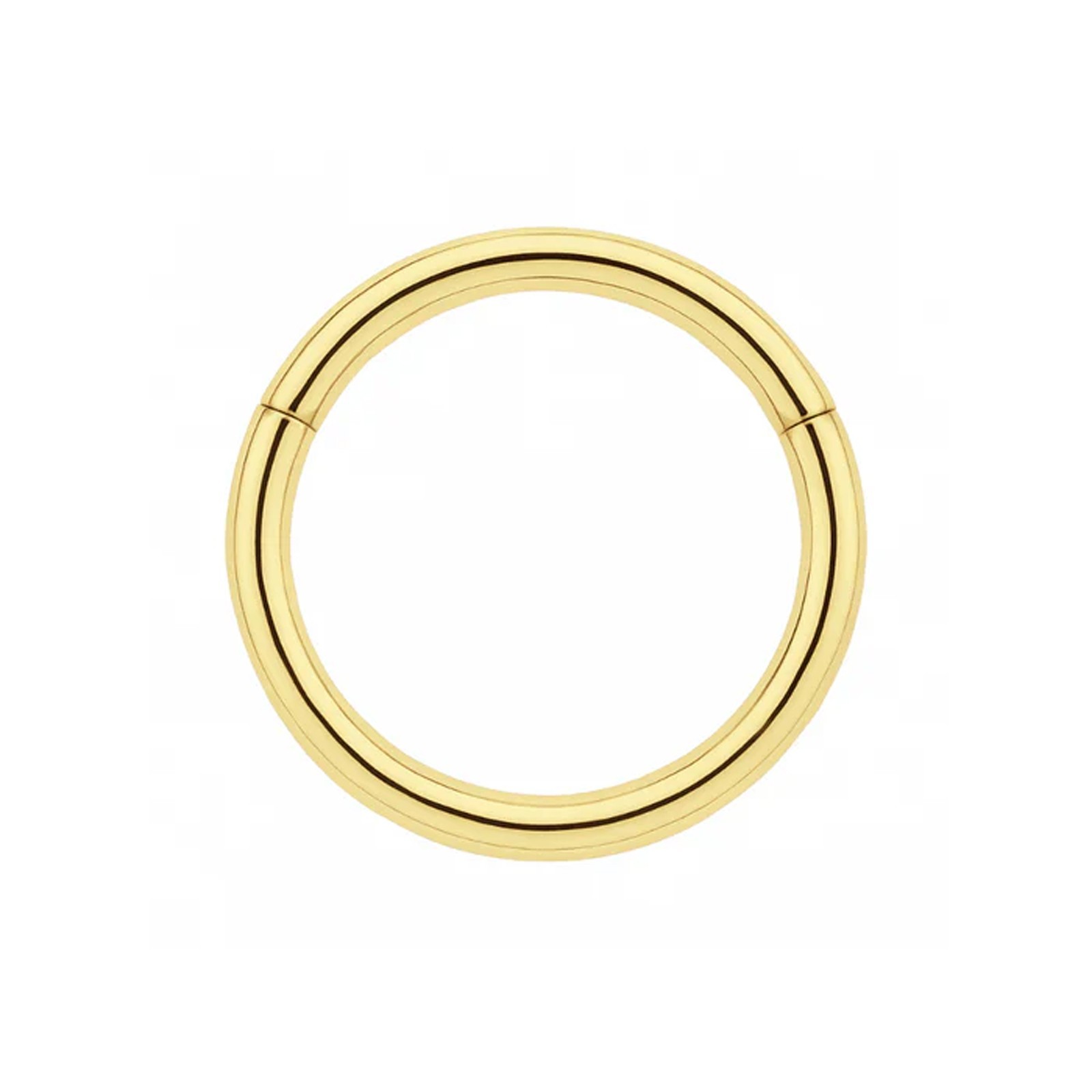 14K Solid Gold Hinged Segment Clicker Ring Nose Septum Cartilage Helix Tragus