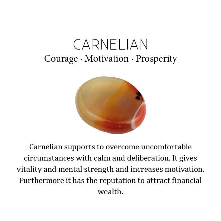 Carnelian Electroformed Chain Adjustable Necklace Handcrafted Copper Gift 18.0″