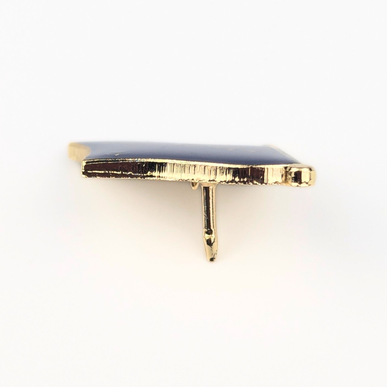 Alaska State Flag Lapel Pin; Die-Struck Steel Alloy