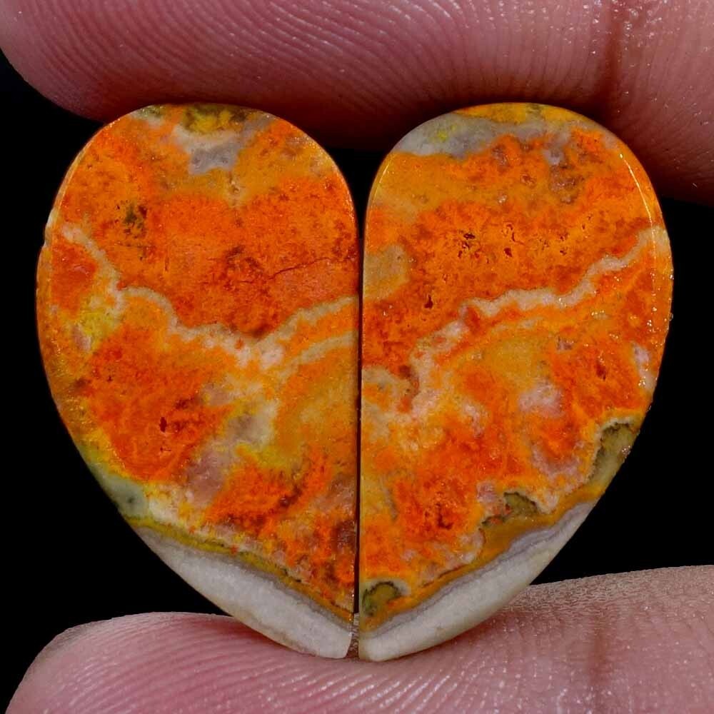 21.40 Cts Natural Bumble Bee Jasper 12X23 mm Cabochon Pair For Earring Gemstone