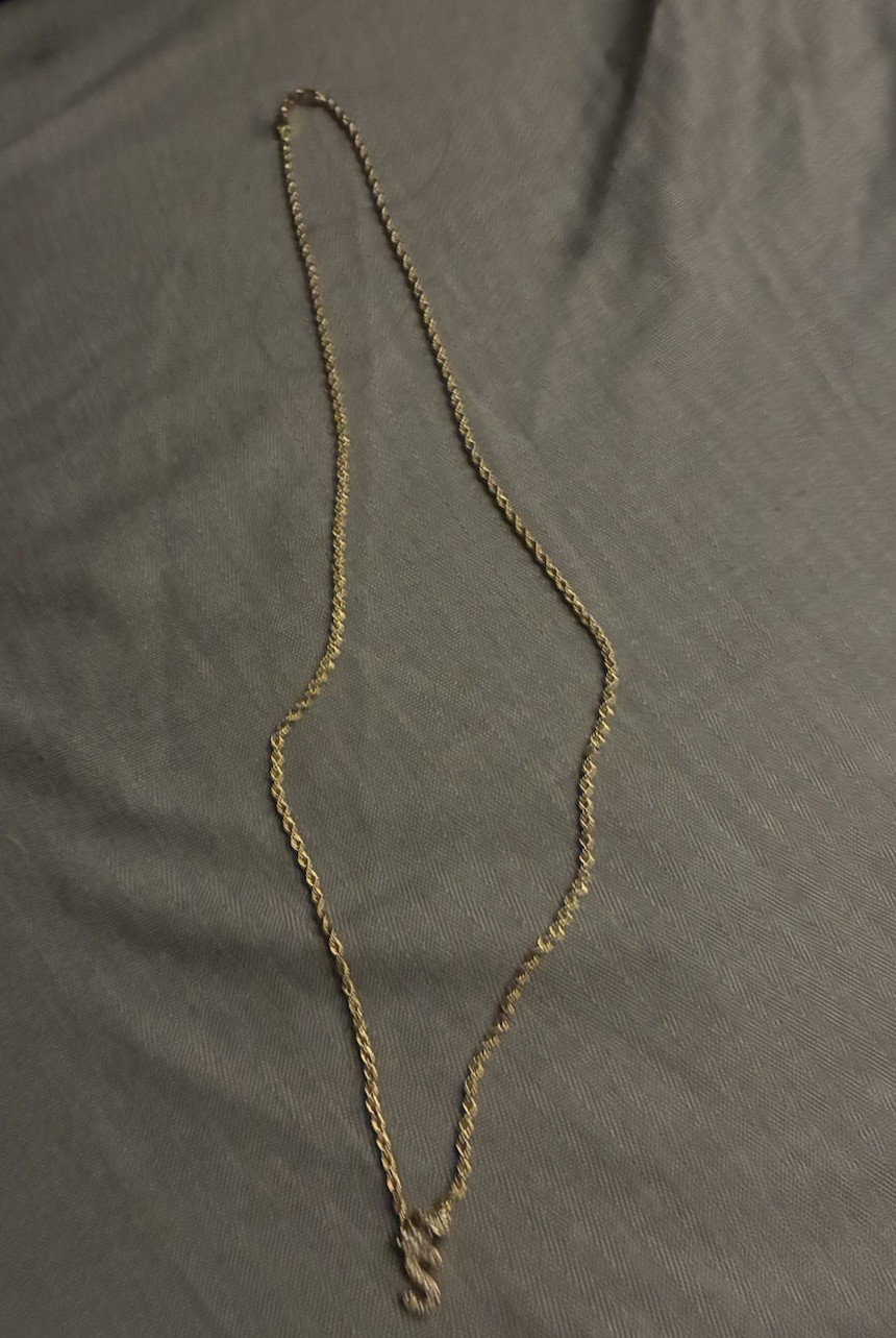 Gold Tone Rope Chain Necklace Seahorse Charm Pendant, diamond stone 14 k