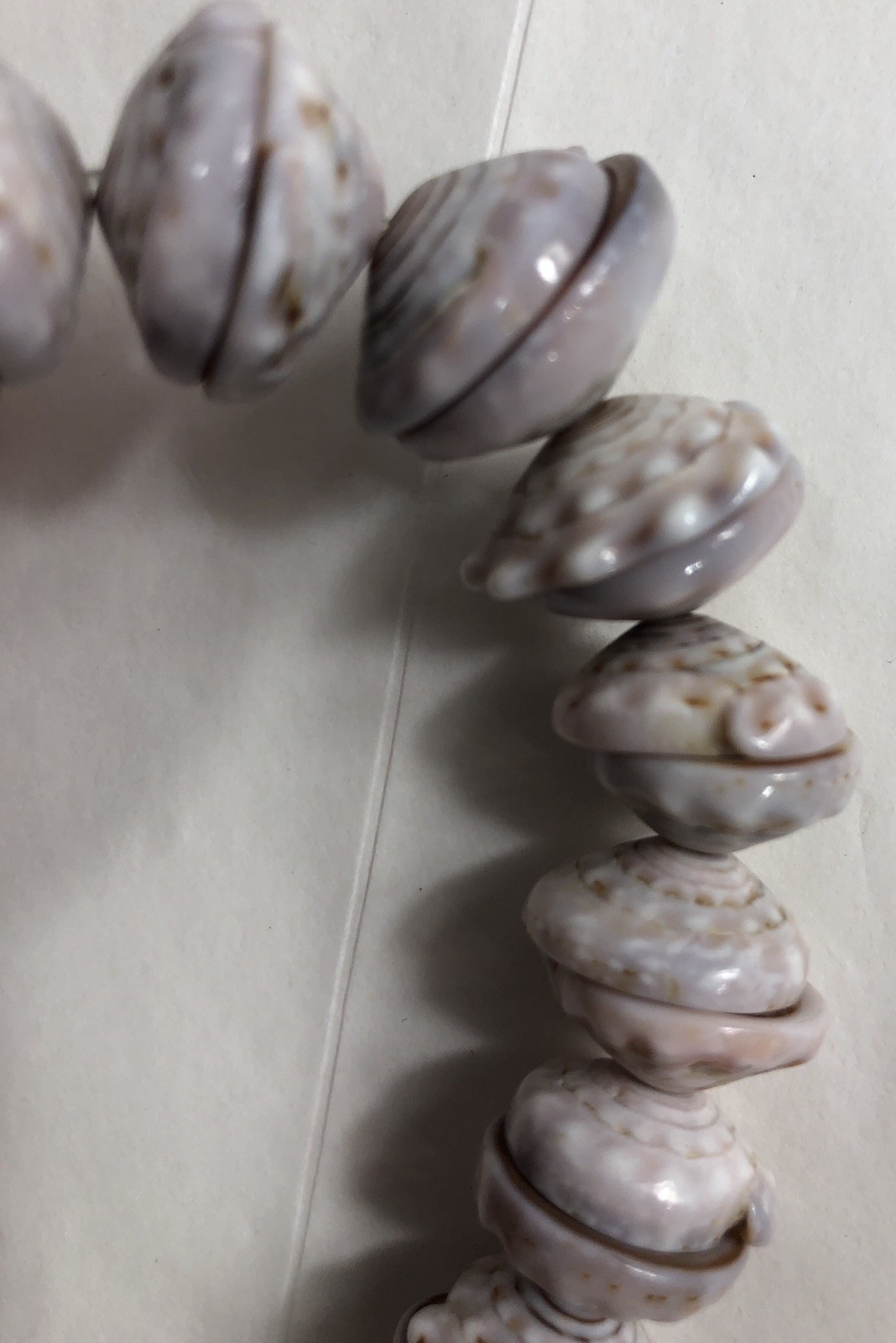 Puka Shell Necklace Hawaiian Lei Graduated 9 mm to 17 mm 17 in Length – Vintage