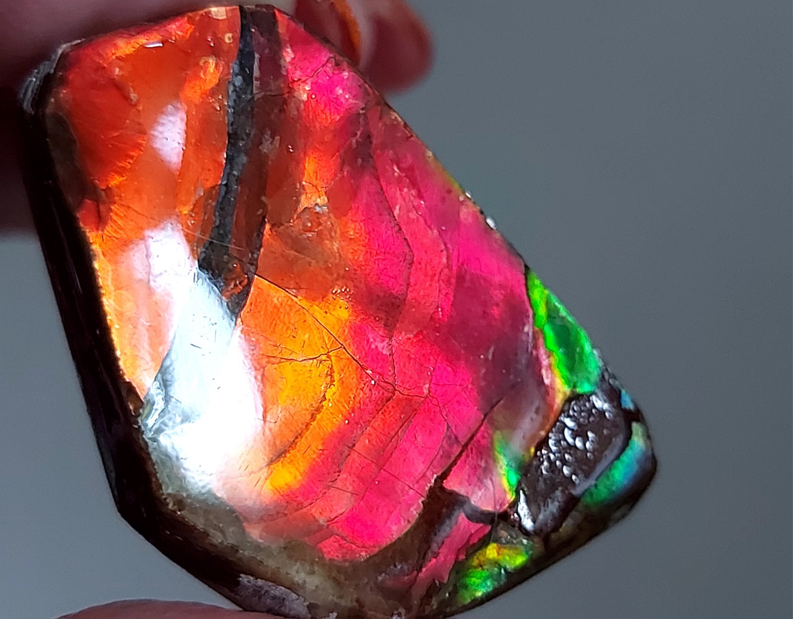 Ammolite Ammonite Coated Stone Color Changer BEAUTY 30.3x22x7mm 5697