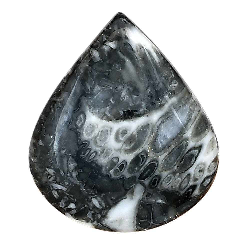 Natural Orthoceras 28.5×24.6×6 mm Heart Shape Polished Loose Gemstone LS02804-44