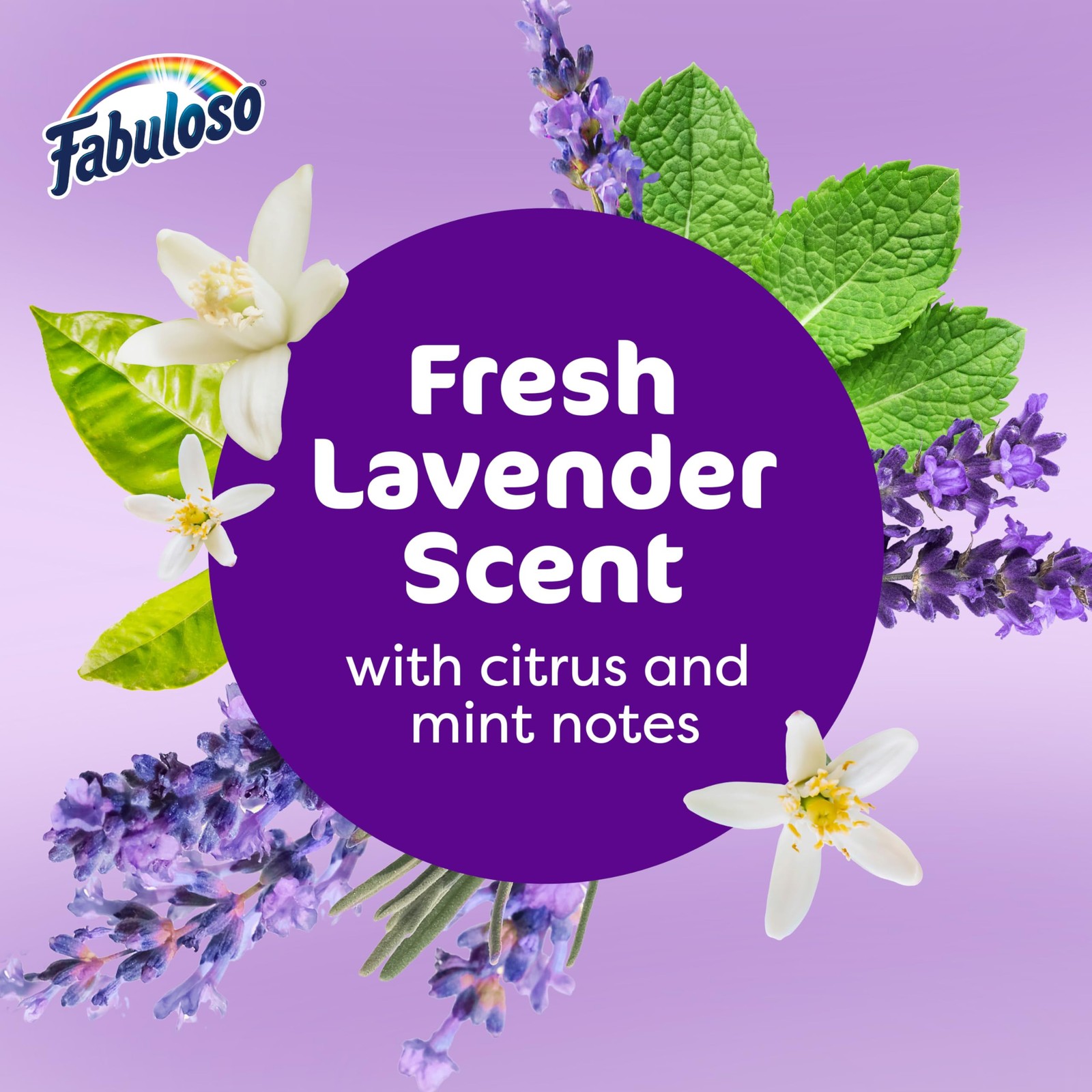 Fabuloso Multi-Purpose Cleaner & Floor Cleaner, 2X 56 Fl Oz (Pack of 1)