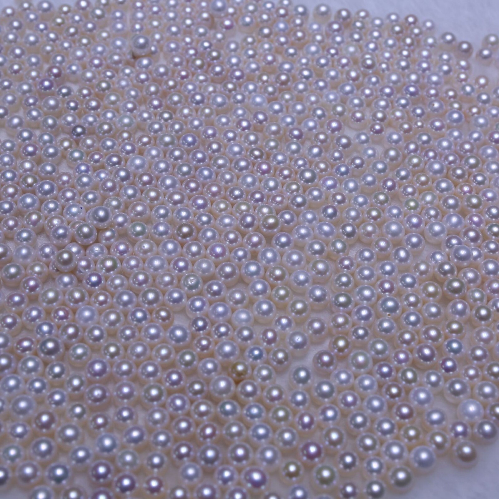 White 2-13mm Complete Round Freshwater Pearl Loose Bead Various Sizes