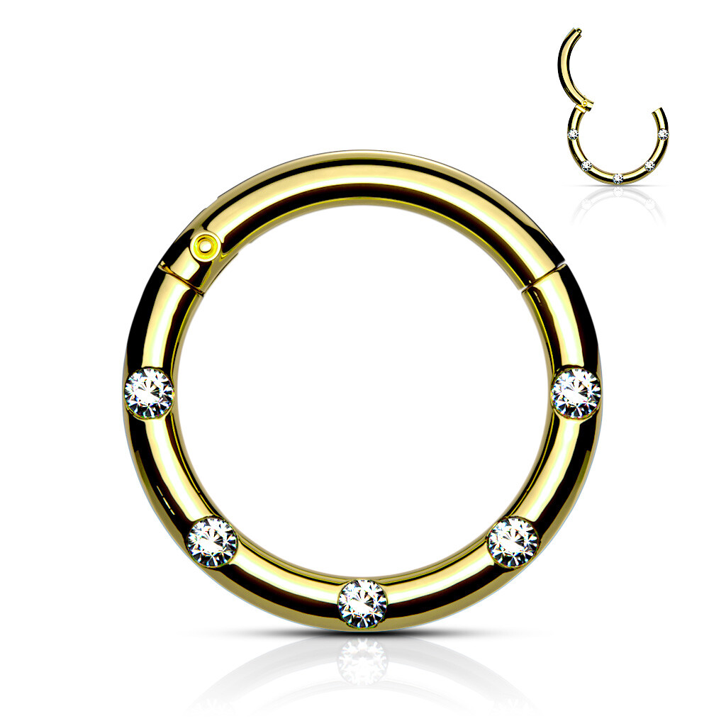 CZ Flush Set Front Facing 16G 316L Surgical Steel Hinged Segment Septum Ring