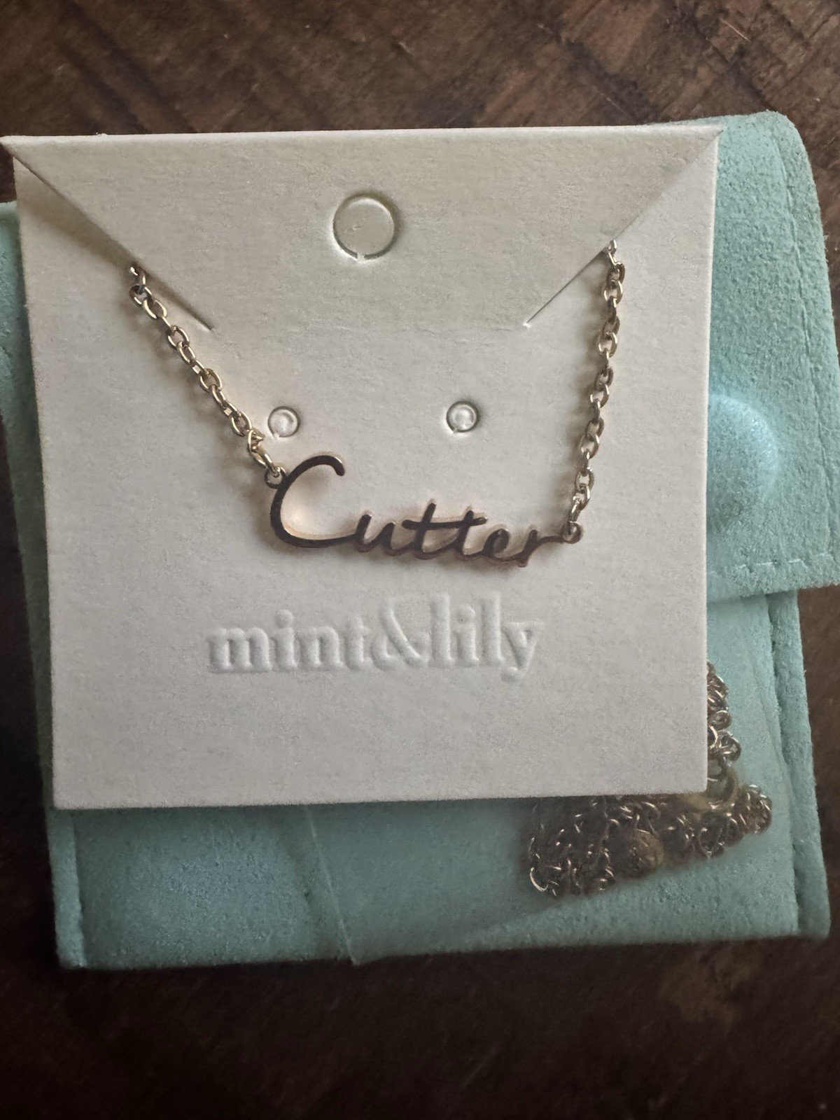 mint&lily “Cutter” Script Nameplate Pendant Necklace Silver Cable Chain Signed