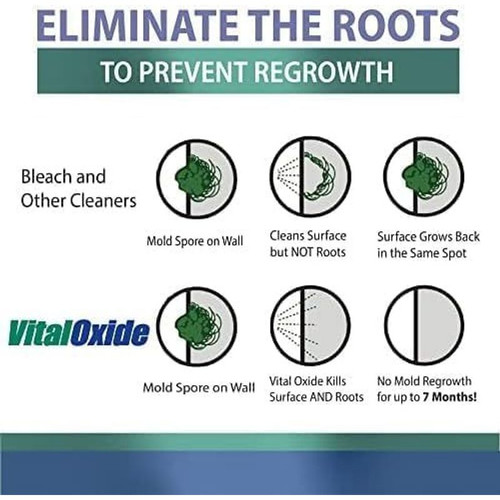 Vital Oxide Disinfectant, Deodorizer, Cleaner, 128 Fl Oz (Pack of 1)