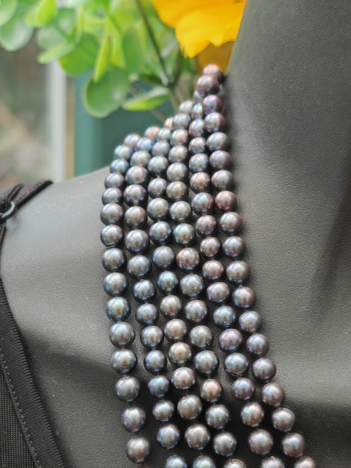 5 strand purple black peacock Tahitian style cultured pearl 925 necklace silk ba