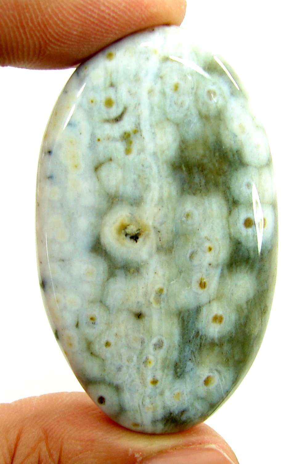 83.25 Ct Natural Ocean Jasper Loose Gemstone Cabochon Wire Wrap Stone – 2841