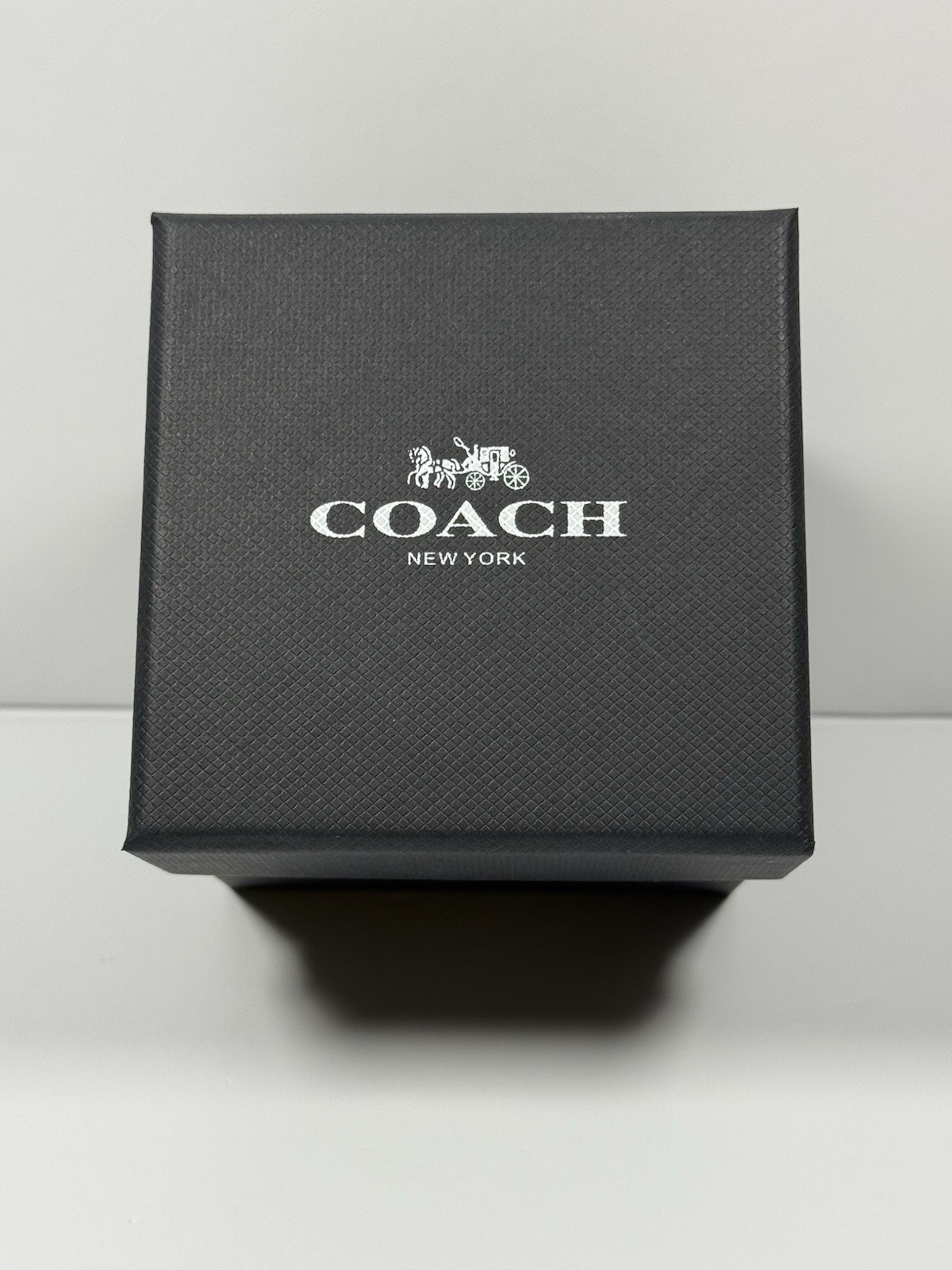 Coach Delancey 14502353 Silver Dial Silver Tone Stainless Bracelet Women’s Watch