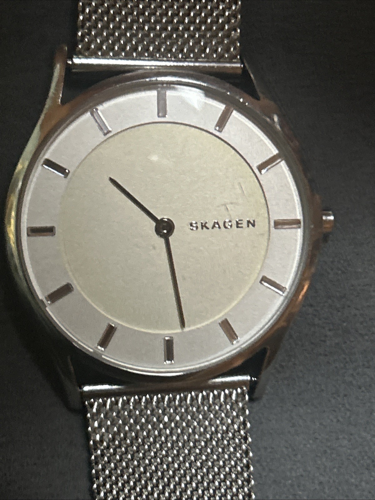 Skagen Women’s Holst Steel Mesh Band Quartz Watch SKW2342