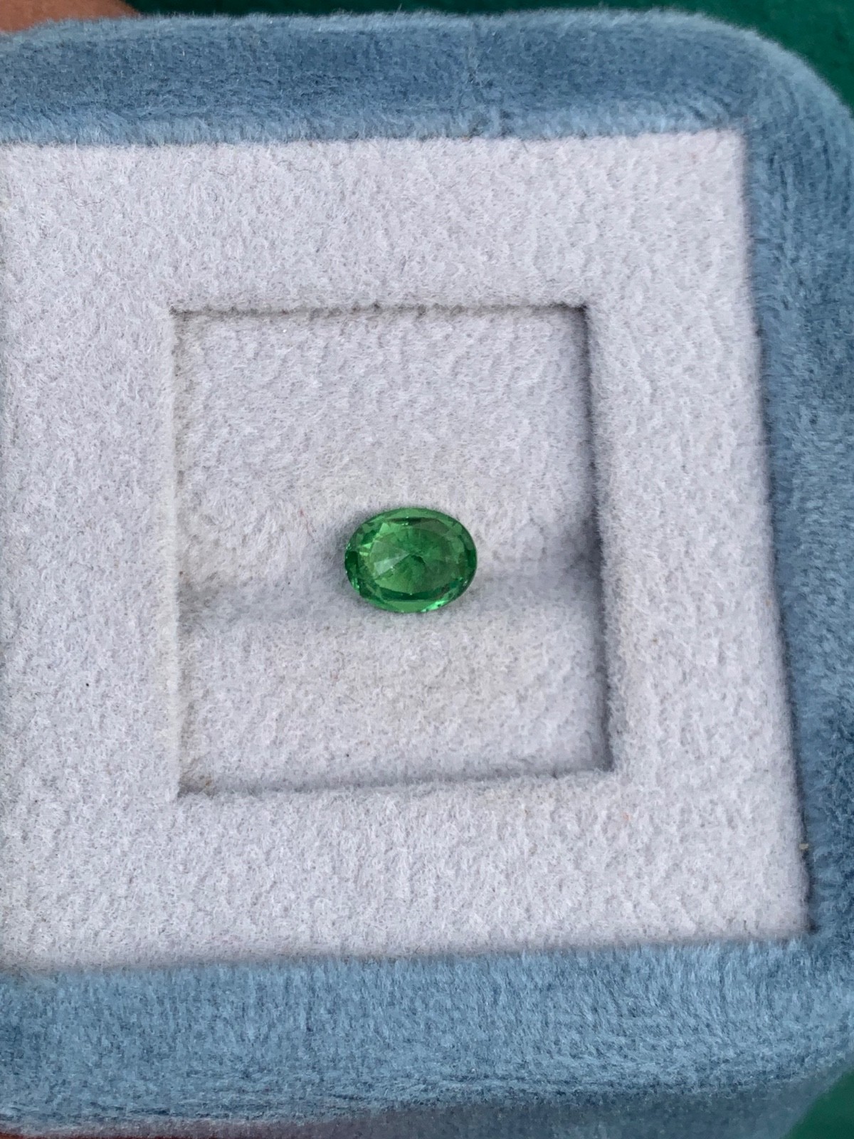 Natural Green Tsavorite Garnet(Tsv)1.10crt Oval VVS Loose Gemstone Tanzania