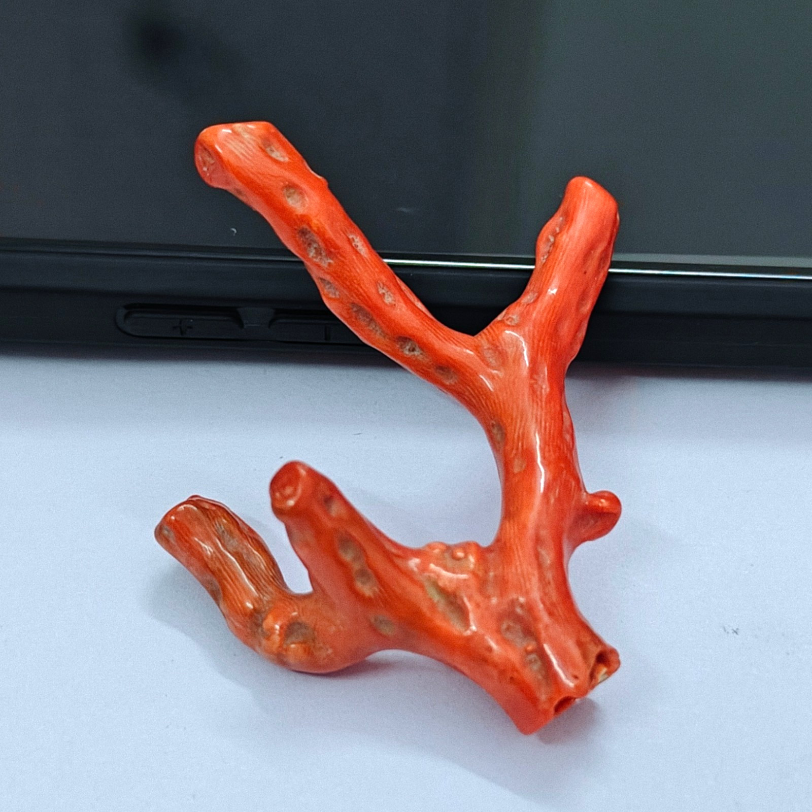 Natural Pink Coral Polished Branch Rough Stick Loose Sea Gemstone For Collectors
