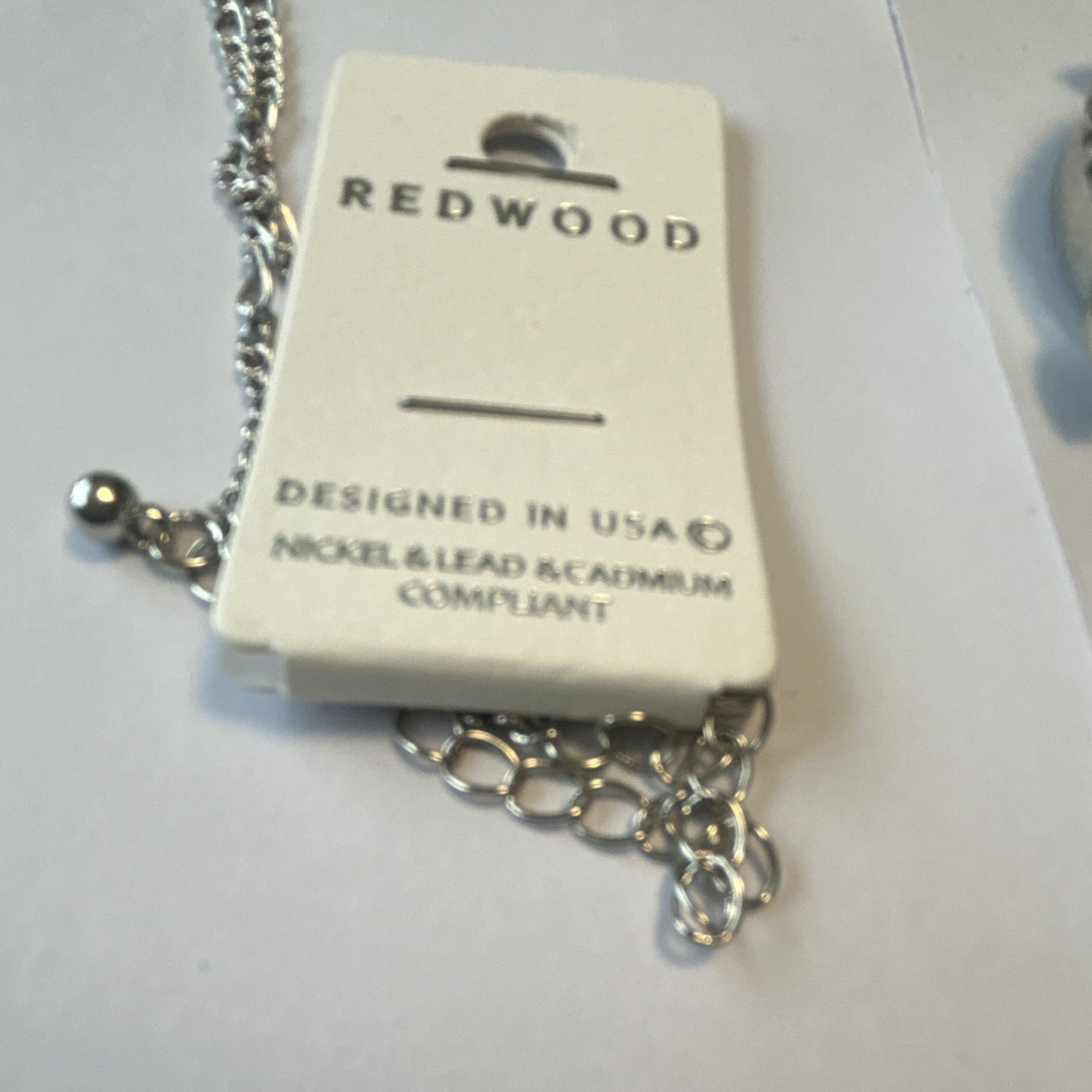 Redwood Silver Tone Turtle Magnifier Locket Pendant Necklace Lobster Clasp