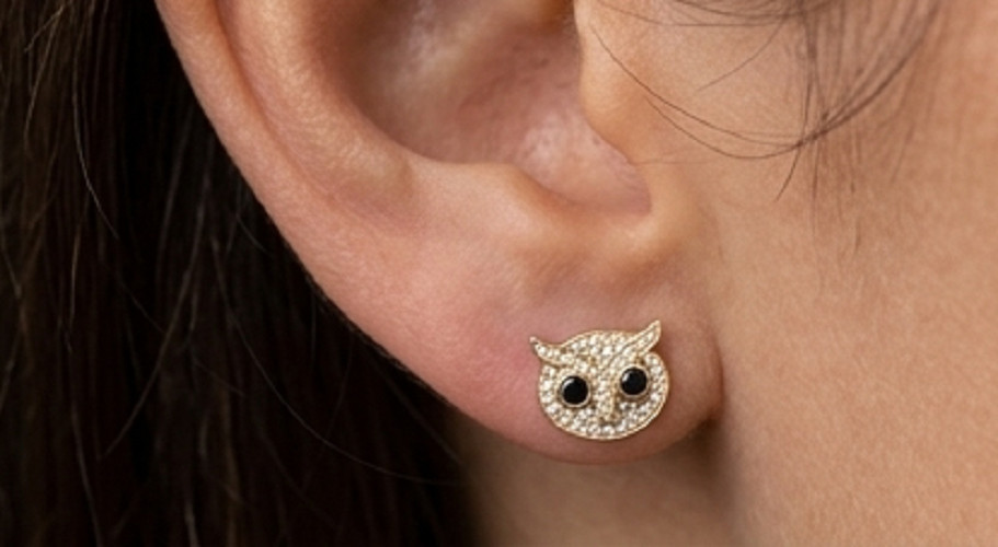 2ct Round simulated Black Diamond Owl Face Stud Earrings 14k Yellow Gold Plated