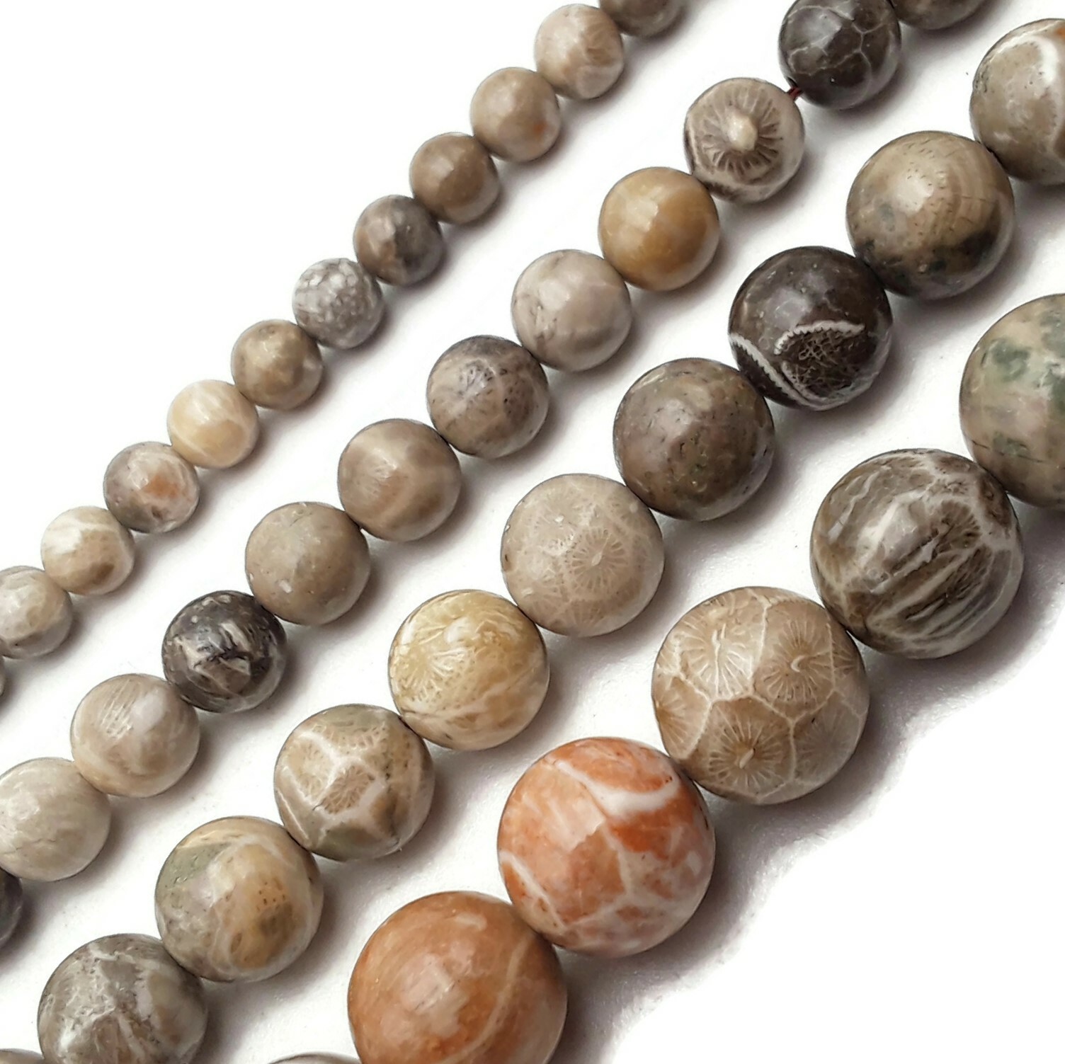 Natural Fossil Coral Smooth Round Beads 4mm 6mm 8mm 10mm 12mm 15.5″ Strand