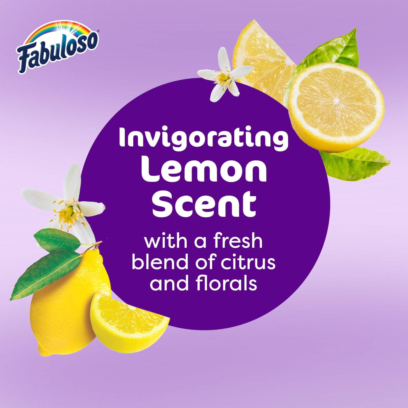 Fabuloso Multi-Purpose Cleaner, 2X Concentrated Formula, 56 Fl Oz (Pack of 1)