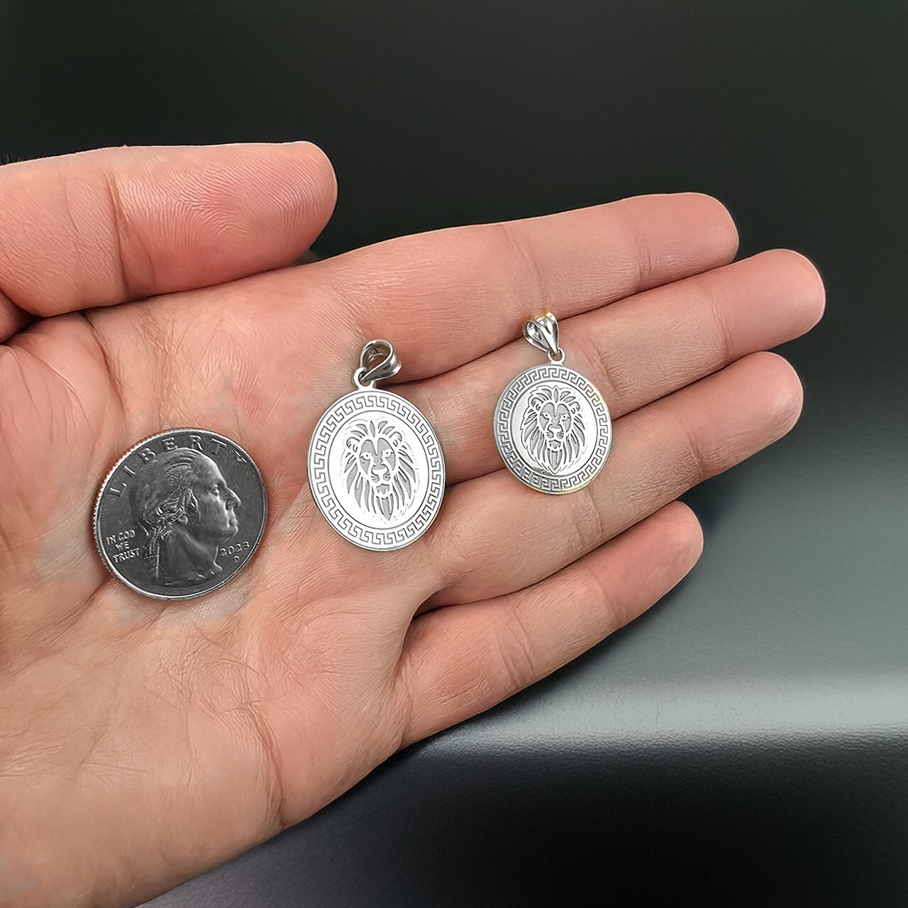 Solid Sterling Silver Lion Medallion Pendant Necklace (S/L)