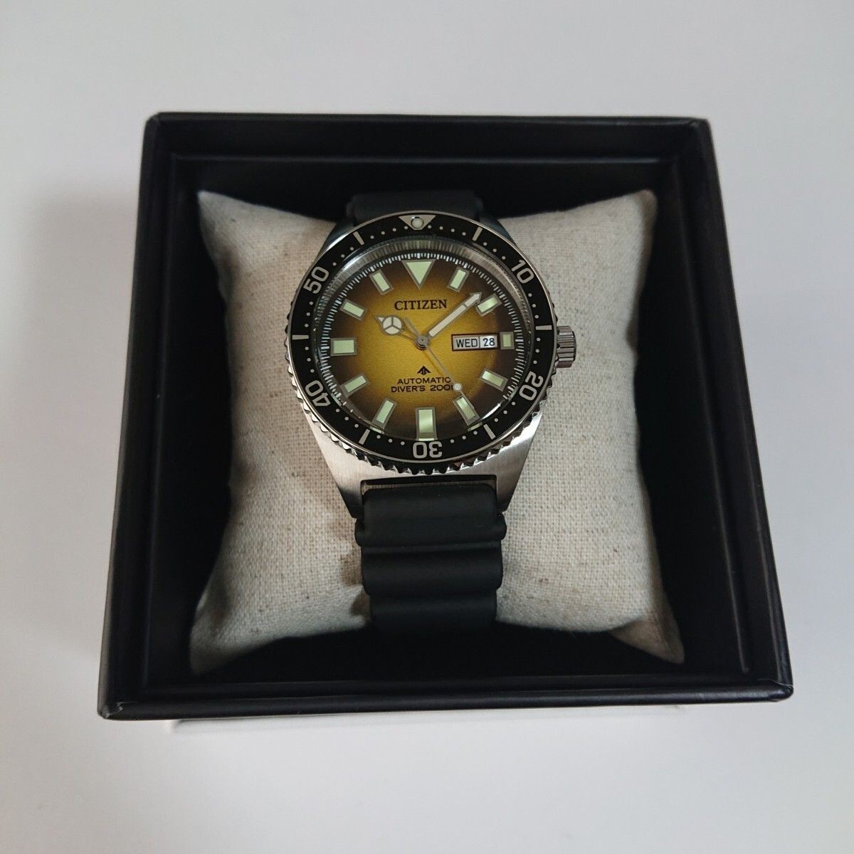 Overseas model Citizen Promaster NY0120 01X PROMASTER MARINE diver 200m automati
