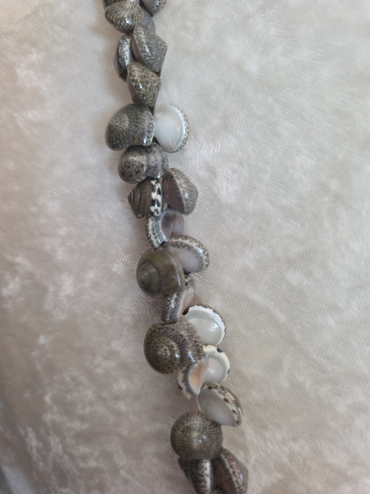 Mini SNAIL Shells GRAY Nautical Ocean Sea Marine Life Snail 36” NWT
