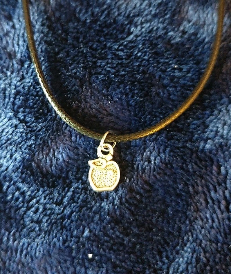 Silver Apple Fruit Nature Plant Charm Pendant Leather Rope Cord Necklace Jewelry