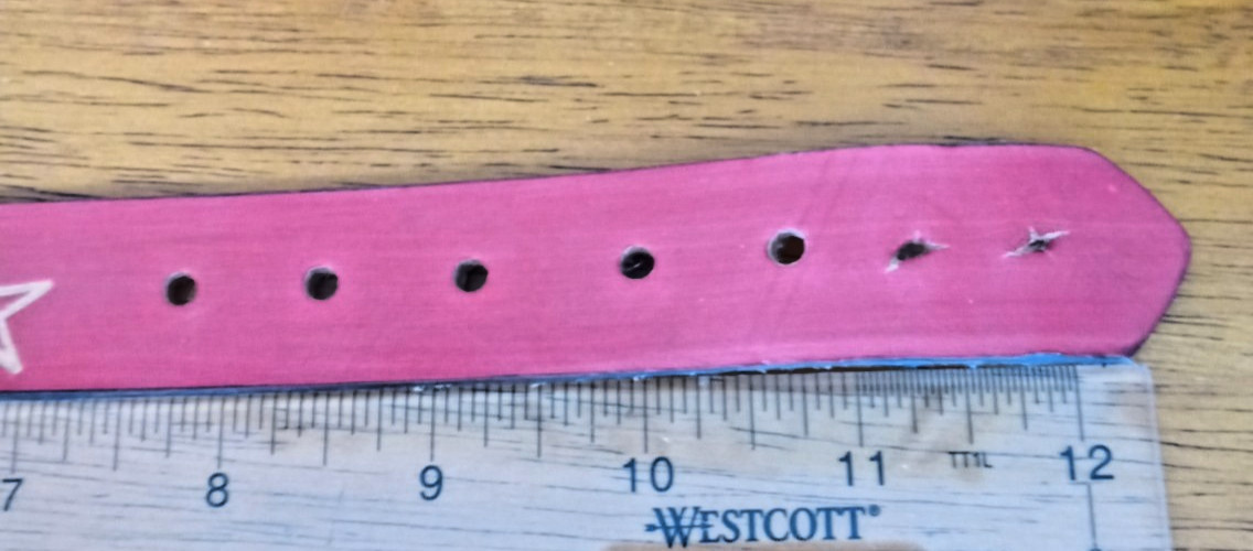 Vintage Red & Black Leather Gothic Thick Wide Garnet Cosplay Choker Collar 12″