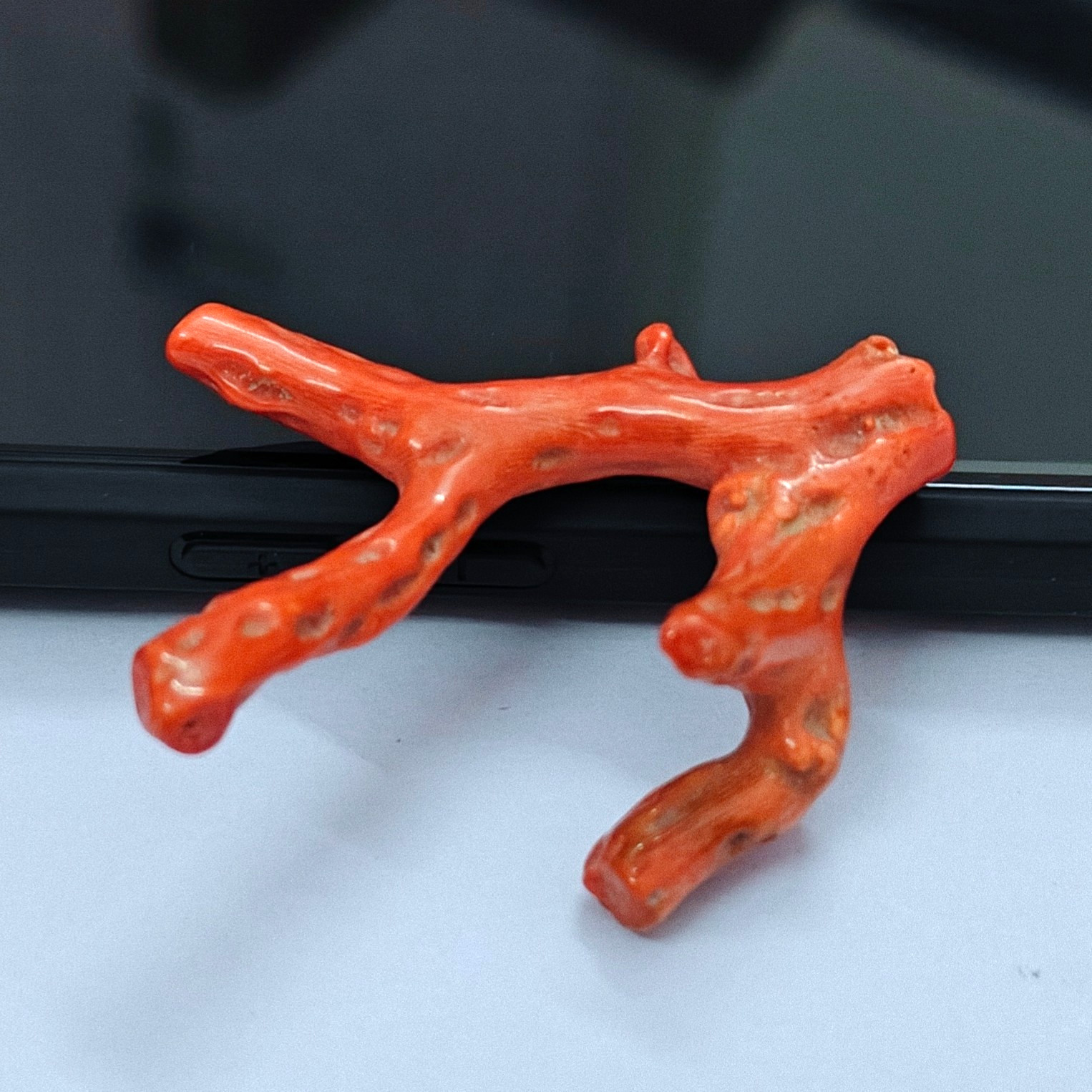 Natural Pink Coral Polished Branch Rough Stick Loose Sea Gemstone For Collectors