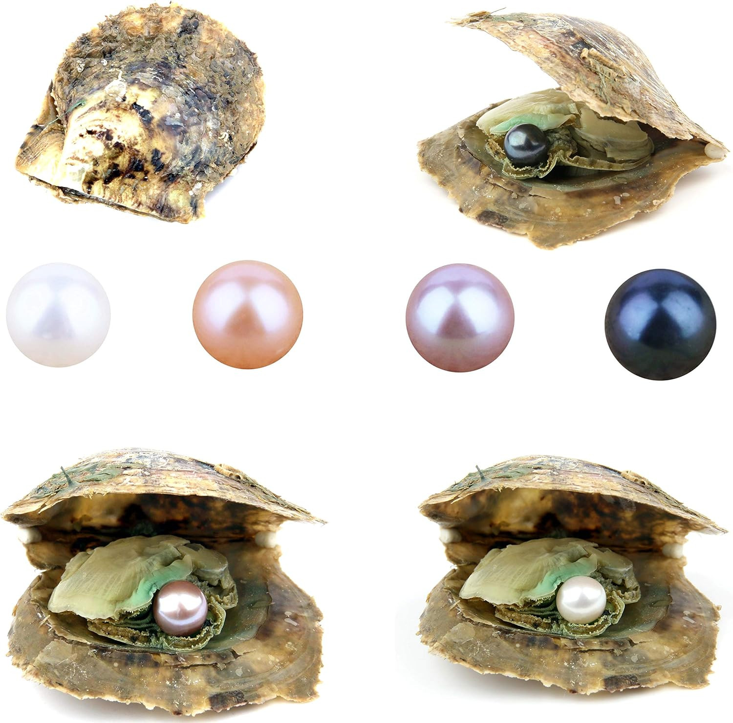 4PCS Saltwater Akoya Cultured Pearl Oyster with round Pearl (6.5-7.5Mm) inside J