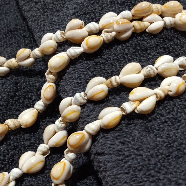 White Beige Natural Shell Oval Beaded Strand Necklace 18 in No Clasp Beach/Ocean