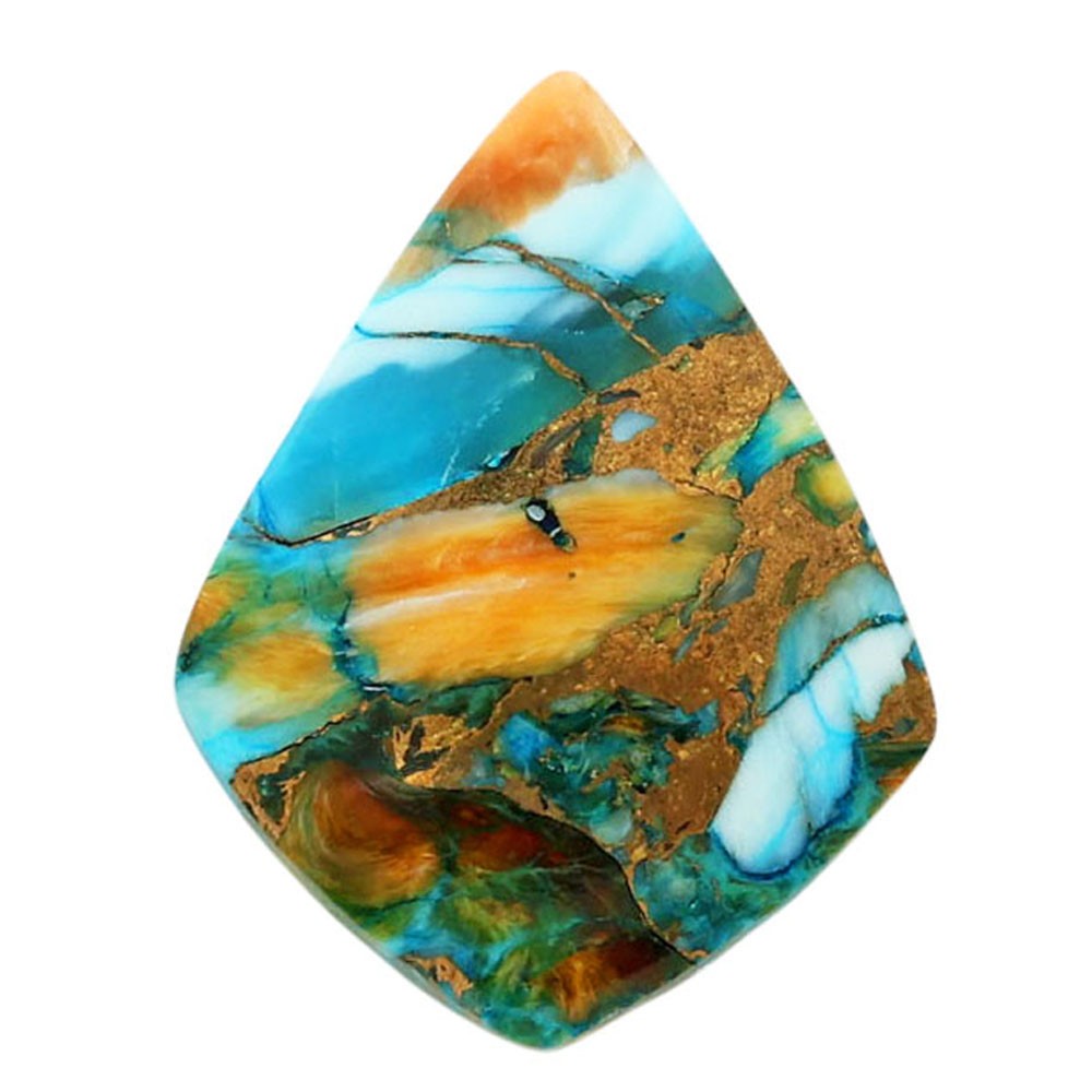 Natural Spiny Oyster Turquoise 19.5×25.2×4.2 mm Fancy Shape Gemstone LS87-06782