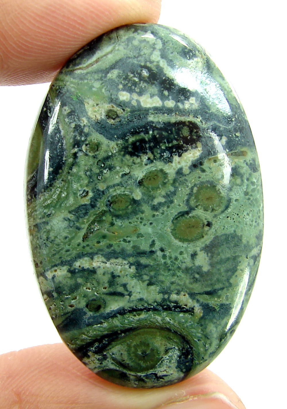 46.35 Ct Natural Kambaba Jasper Loose Gemstone Stone Cab Wire Wrap Stone – 2395